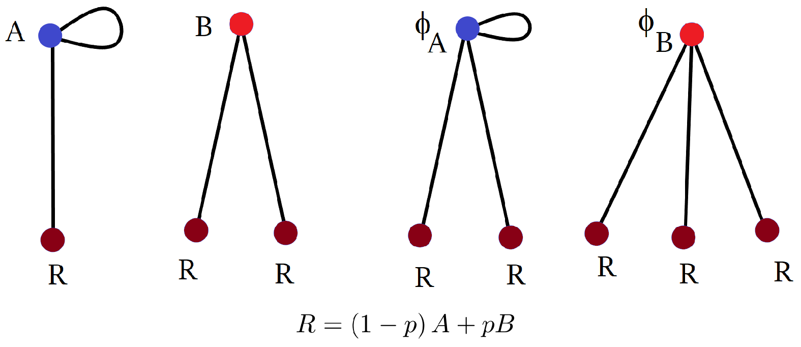 Entropy 26 01014 i003