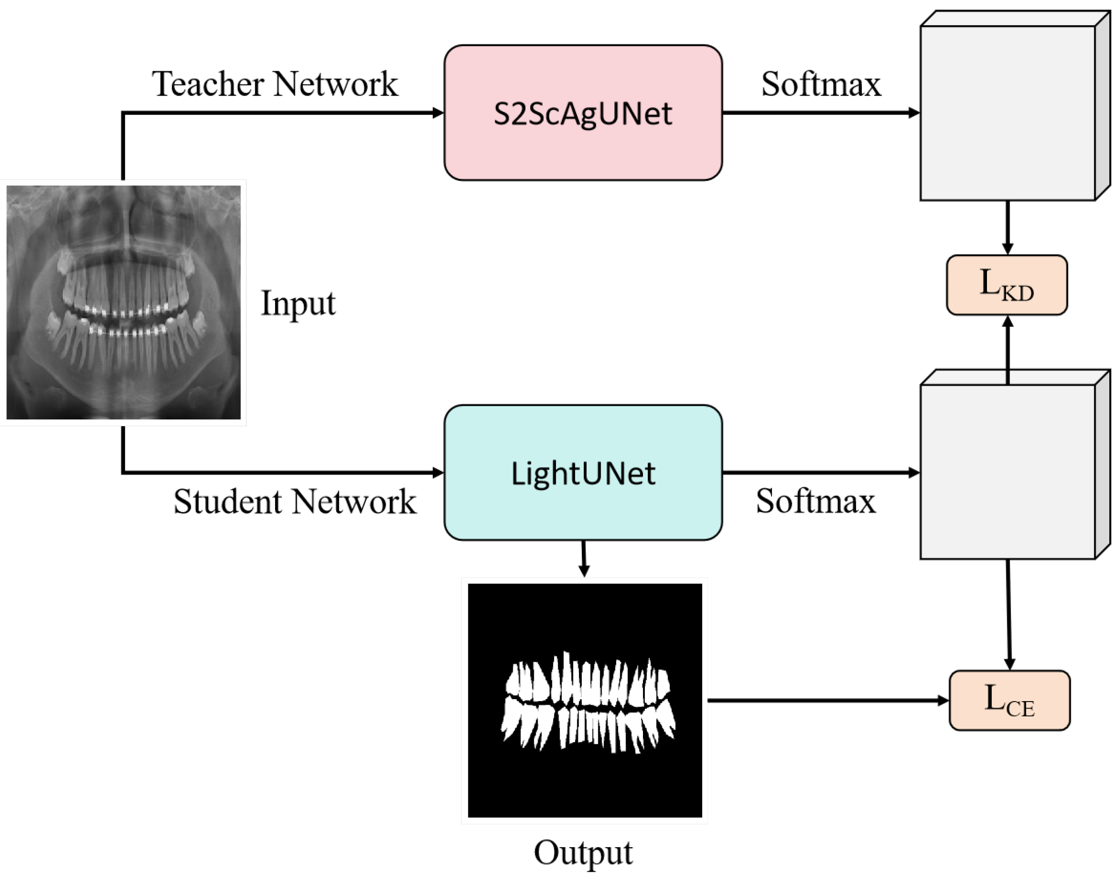 Entropy 26 01059 g006