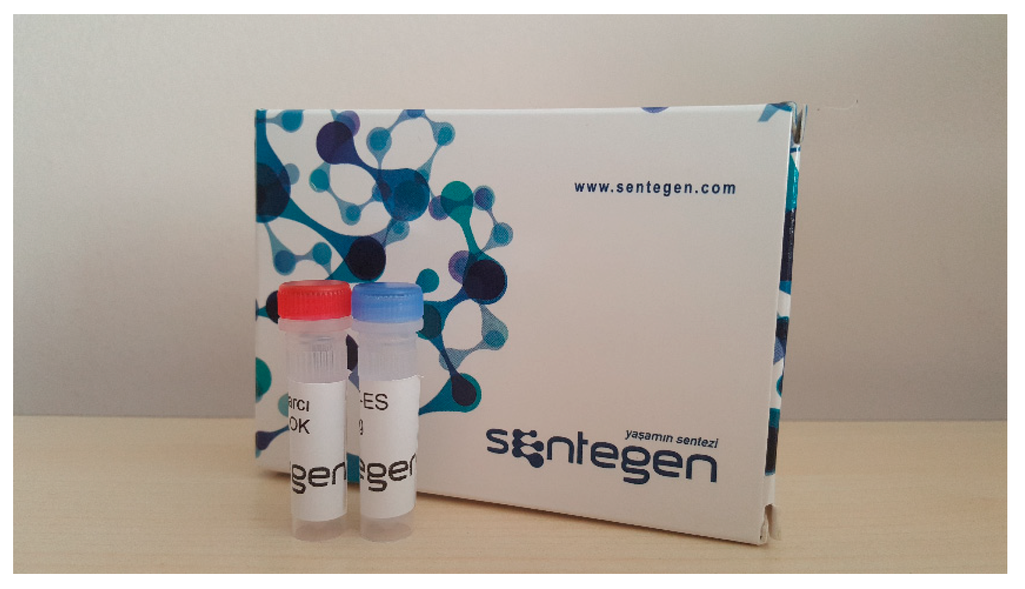 Entropy 26 01116 g006