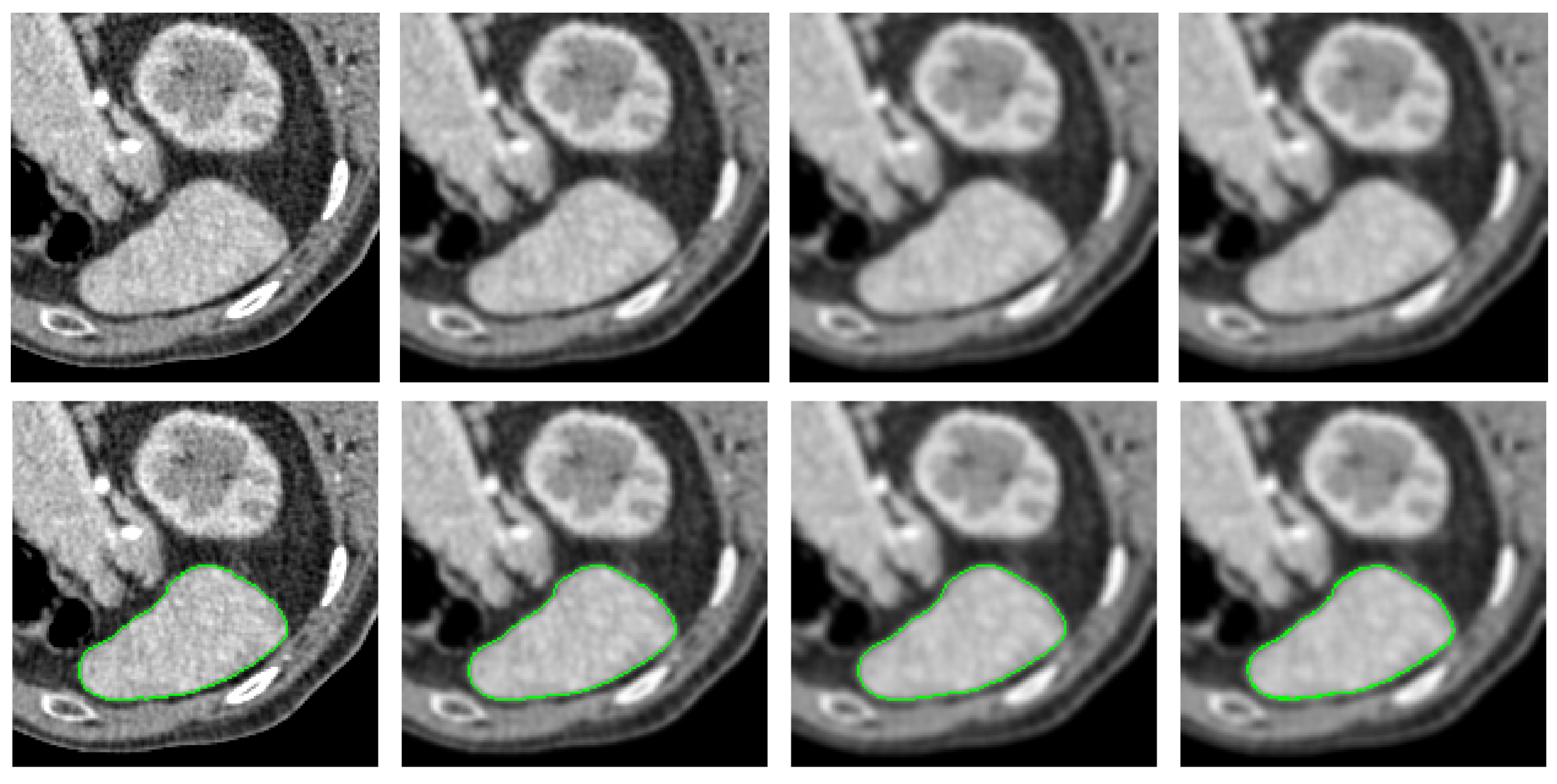 Entropy 26 01123 g011