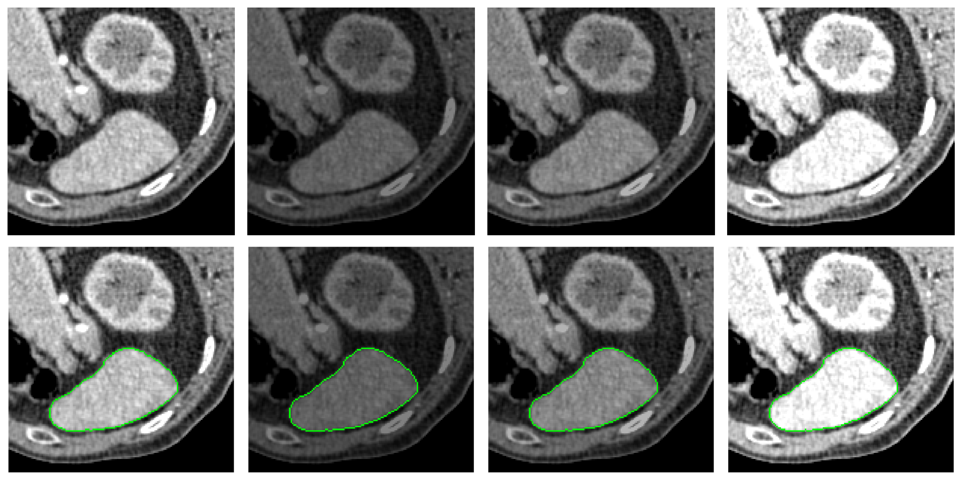 Entropy 26 01123 g012