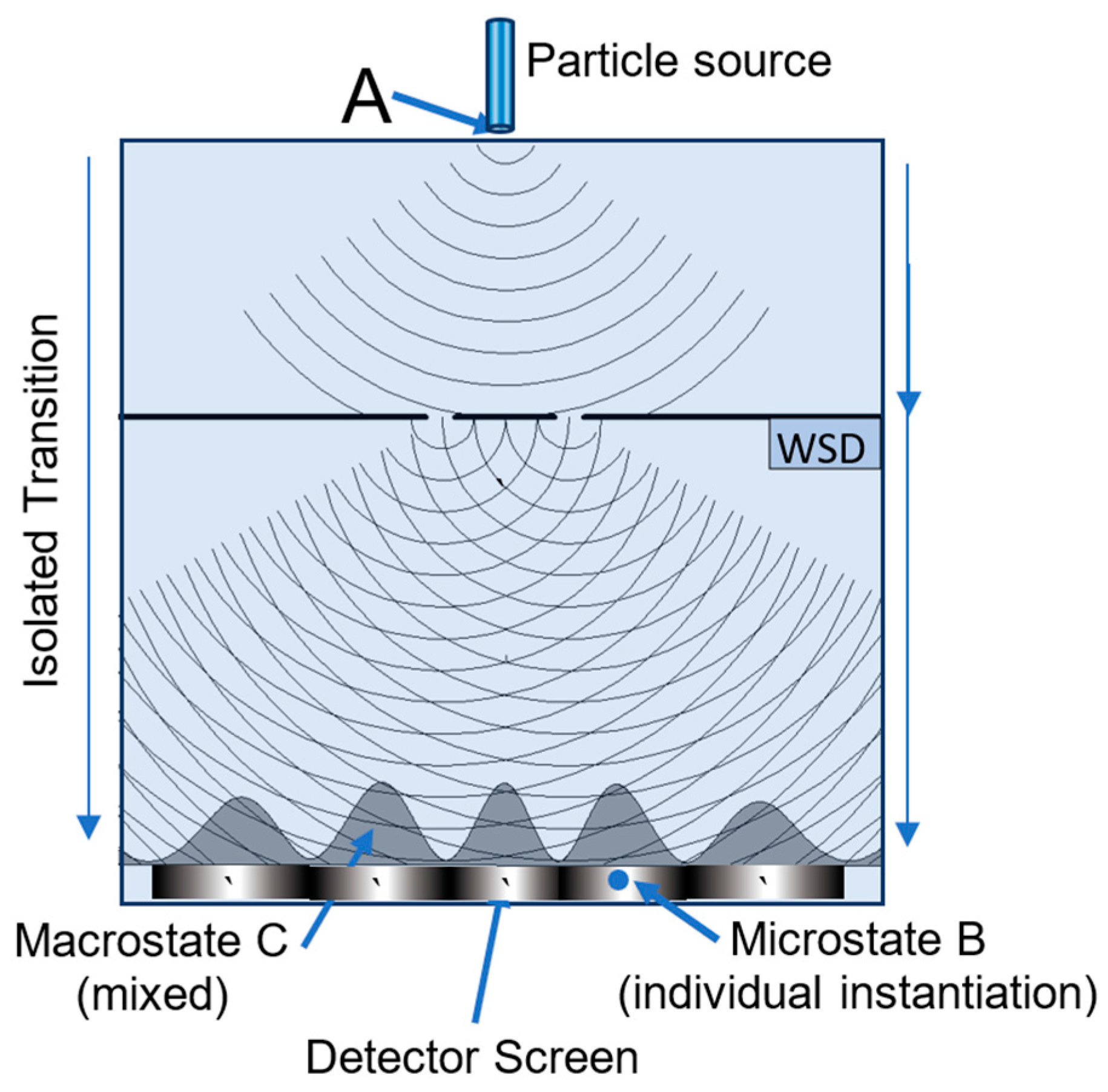 Entropy 27 00022 g009