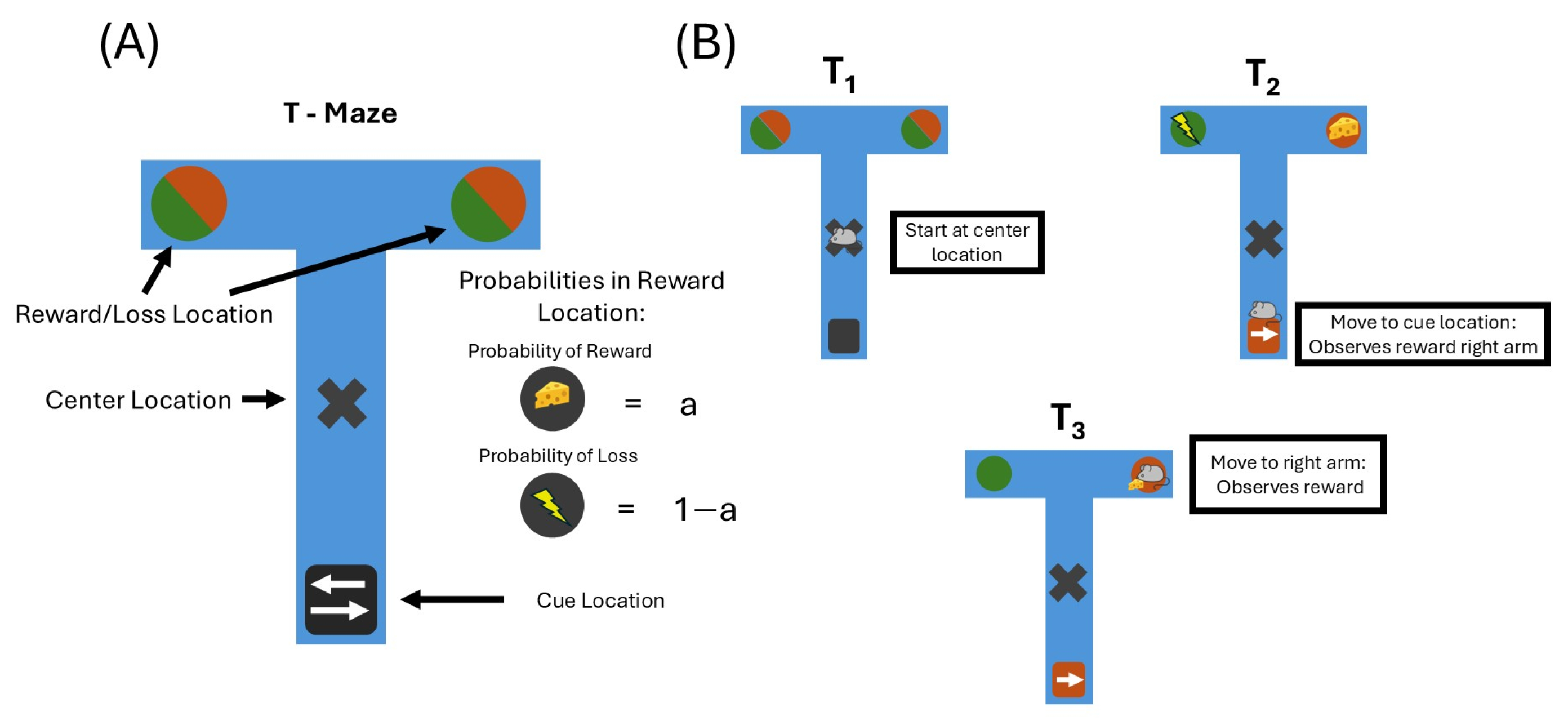 Entropy 27 00062 g002
