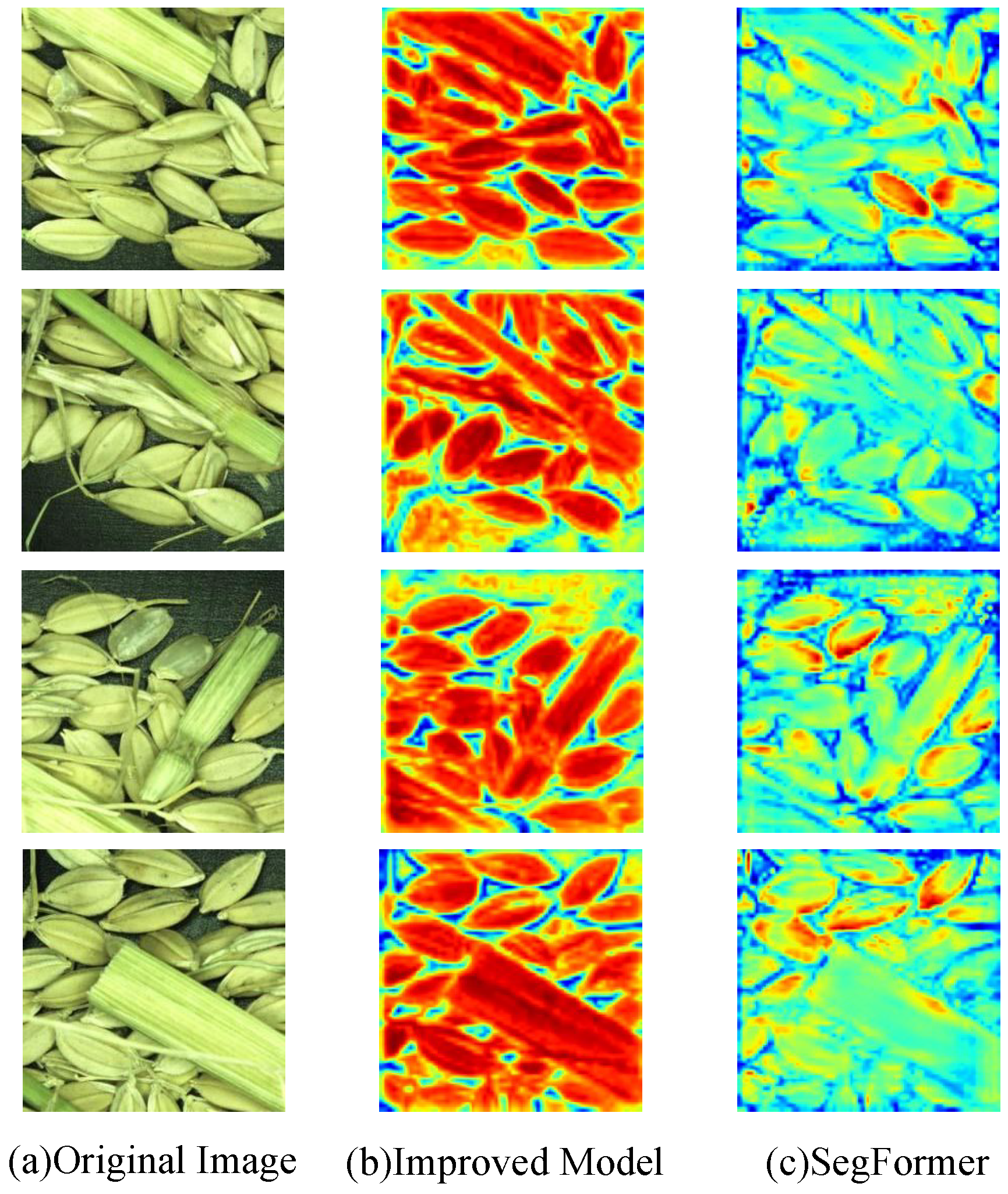 Entropy 27 00070 g007