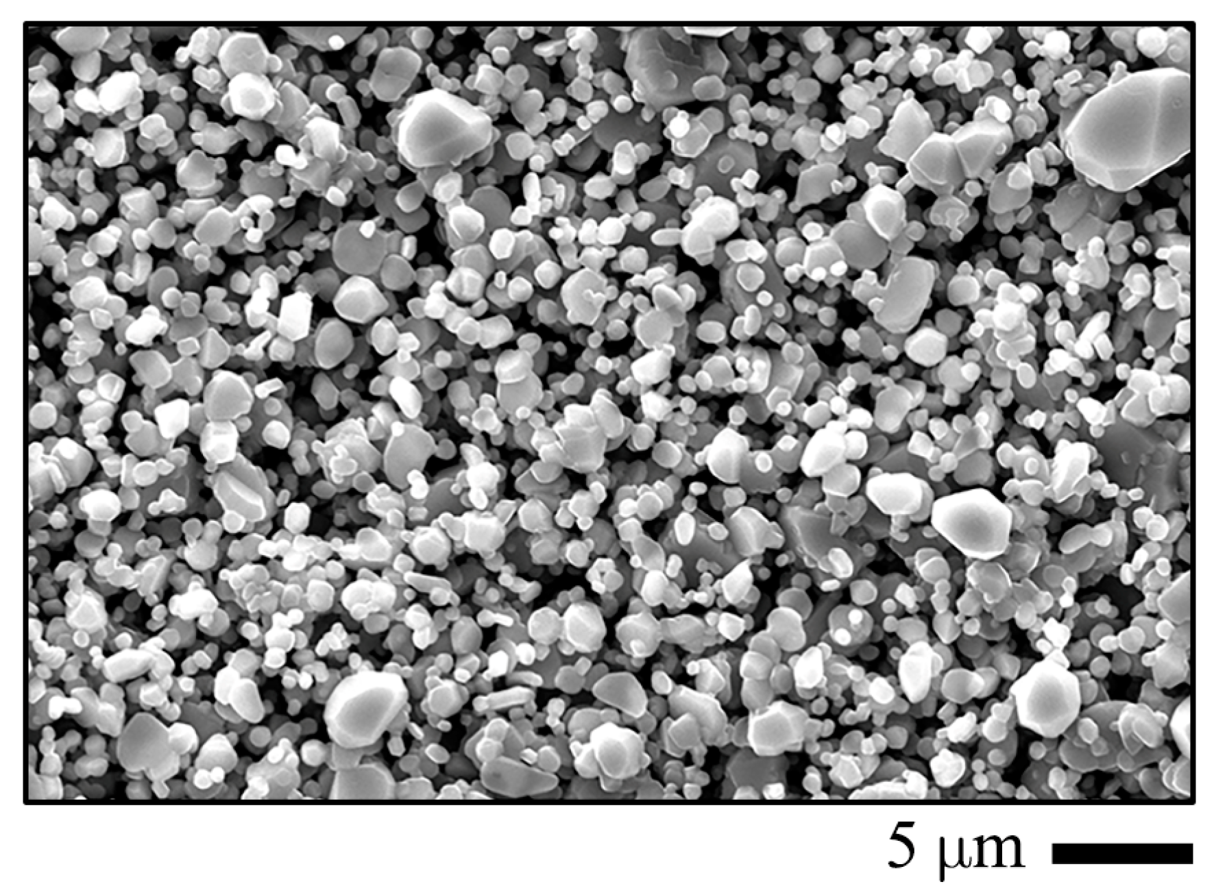 Entropy 27 00101 g003