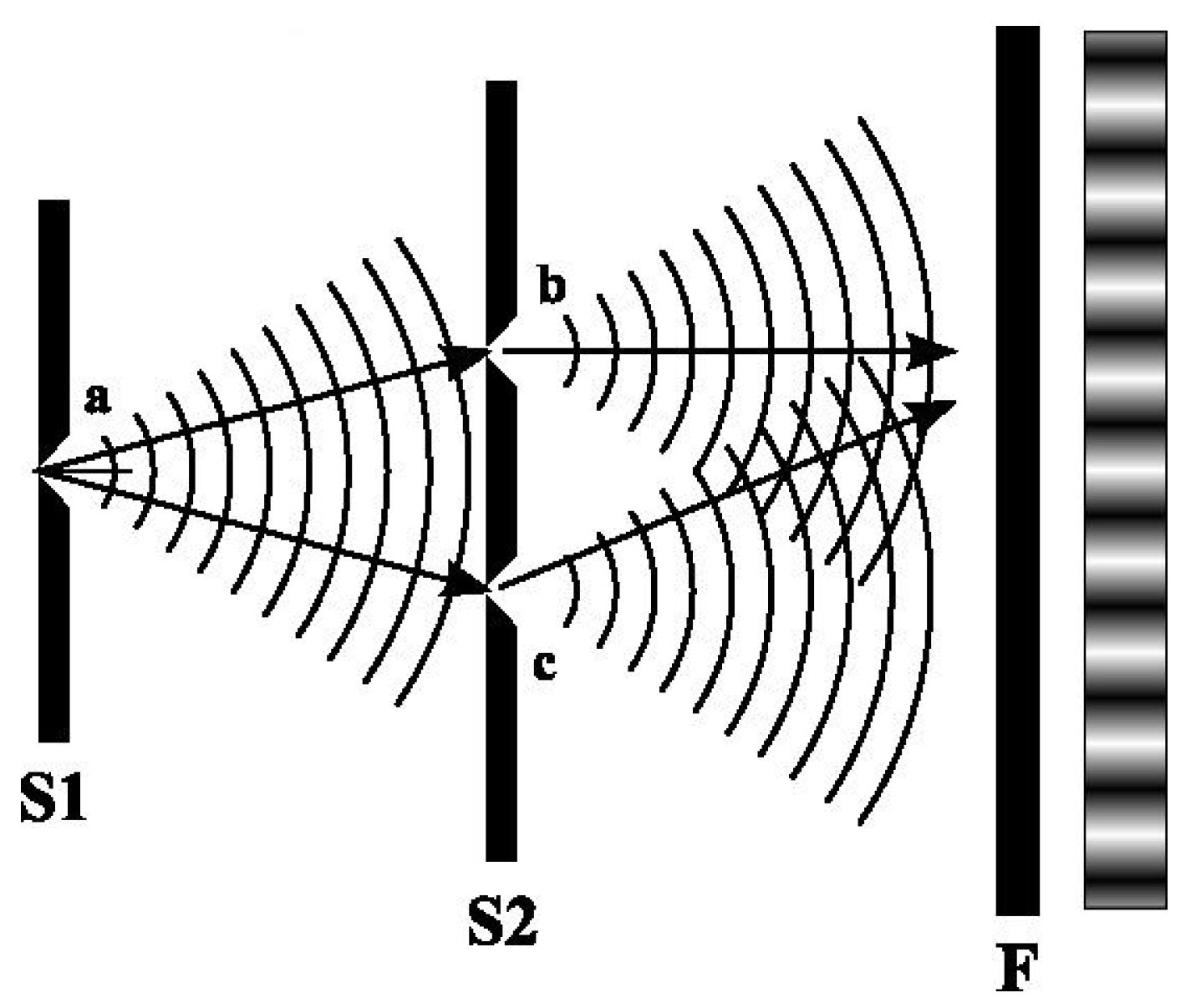 Entropy 27 00102 g001