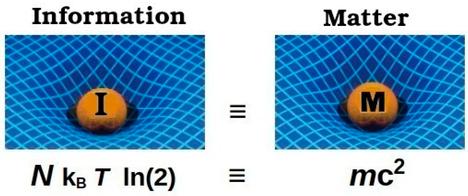 Entropy 27 00110 g008 Entropy 27 00110 g008
