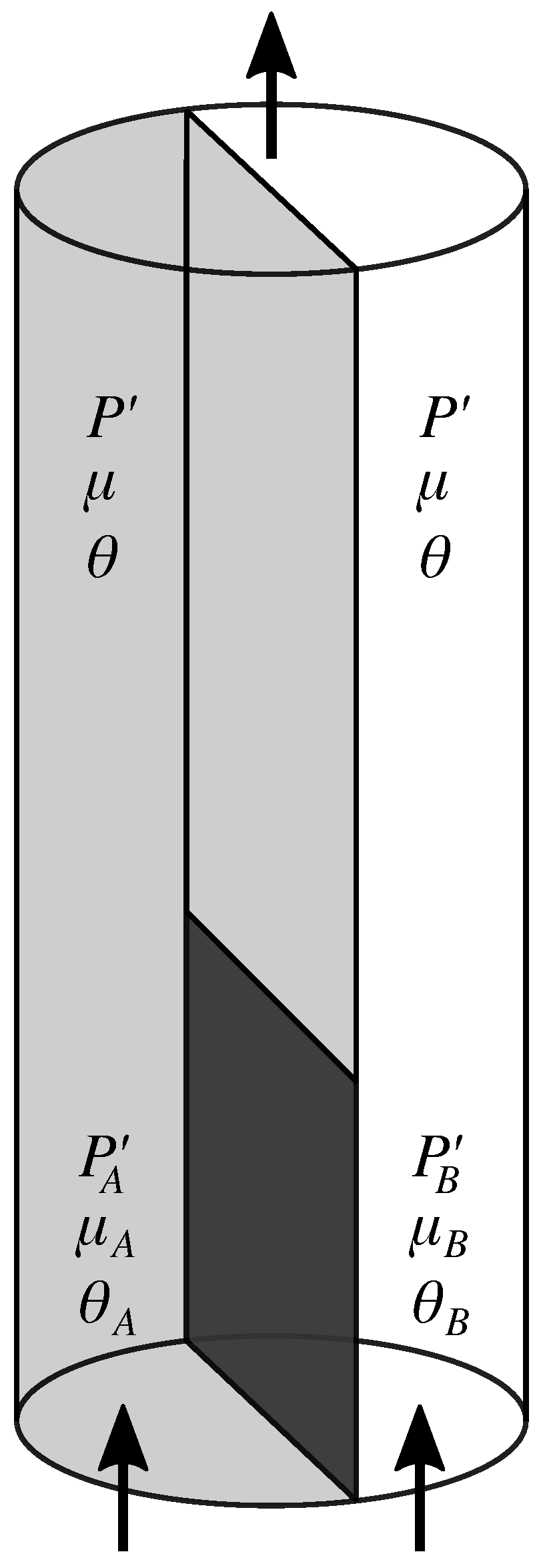 Entropy 27 00121 g003