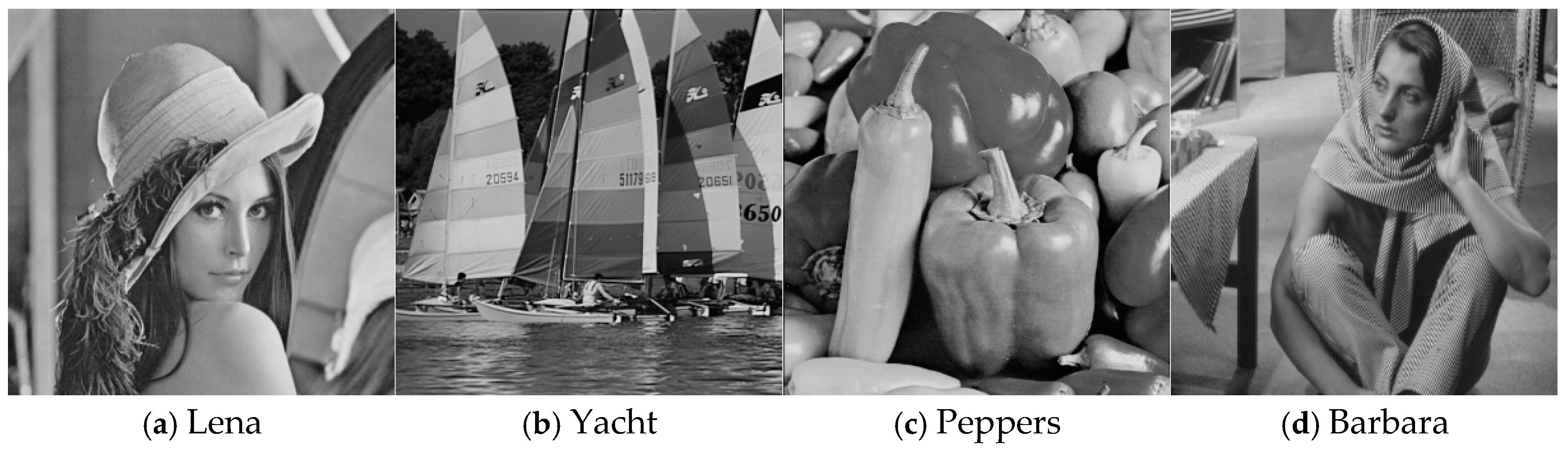 Entropy 27 00159 g006