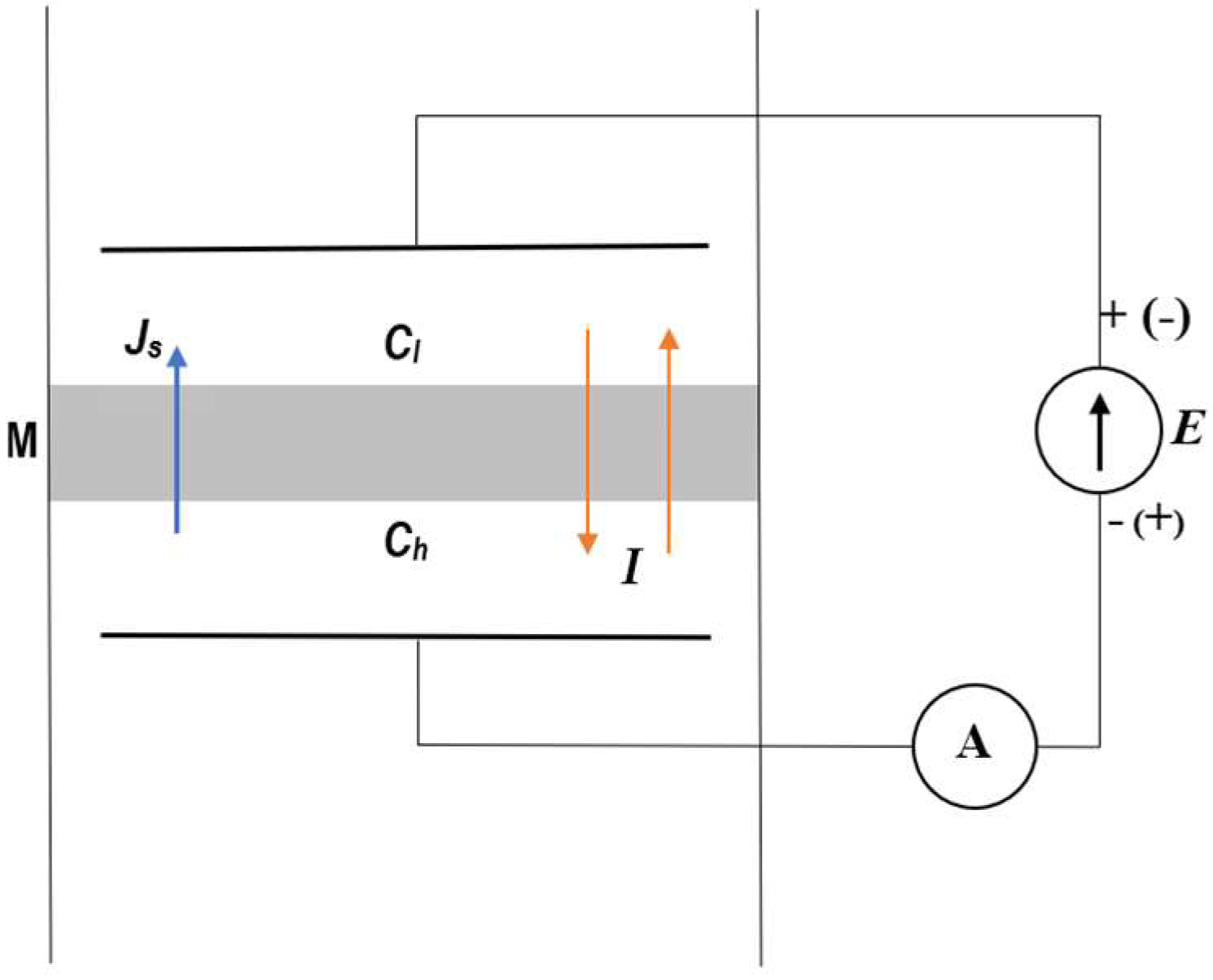 Entropy 27 00169 g002