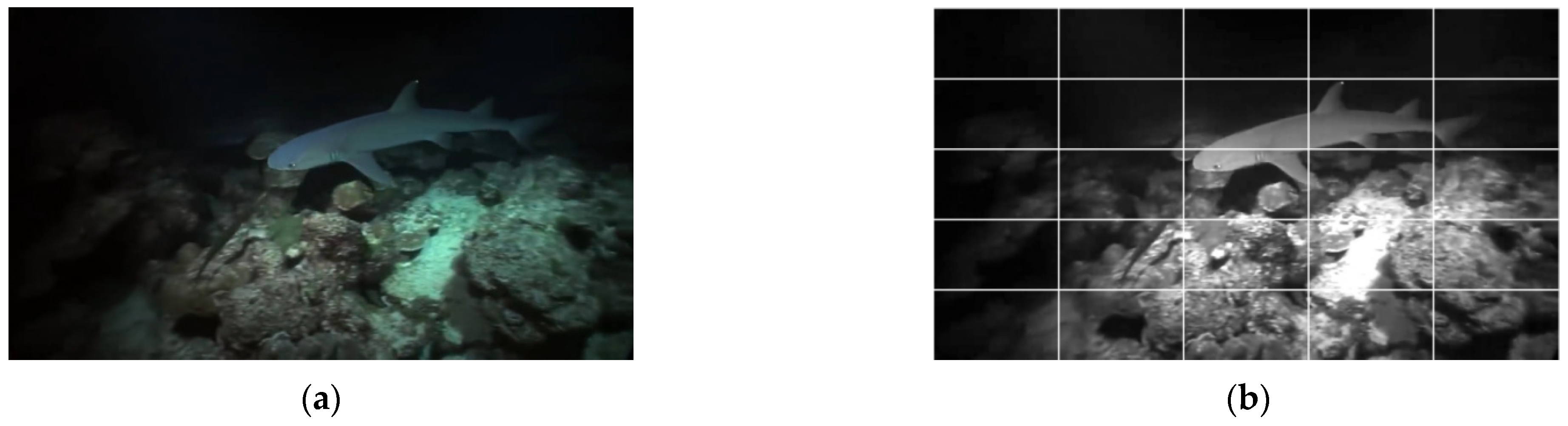 Entropy 27 00173 g005