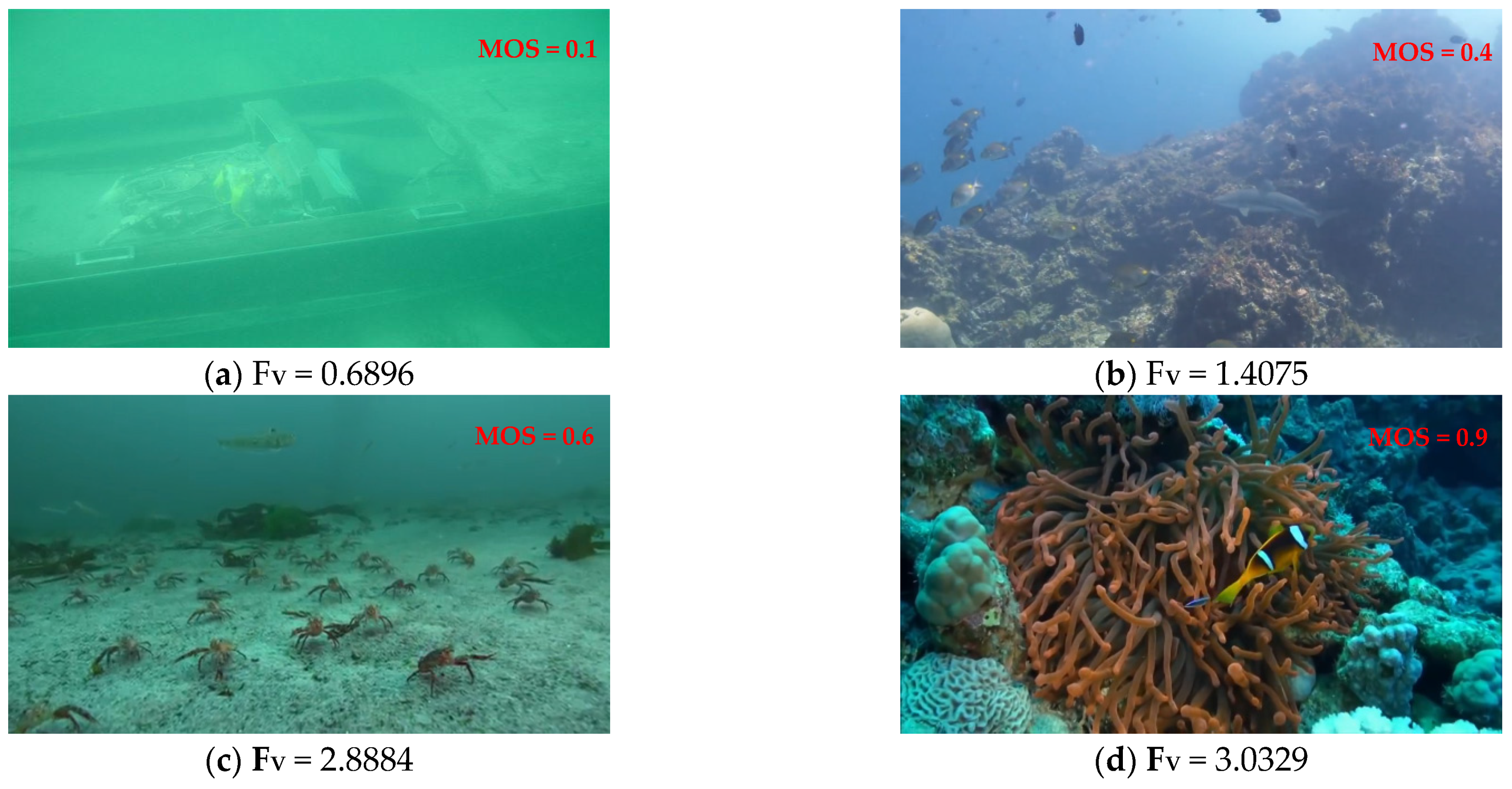 Entropy 27 00173 g007