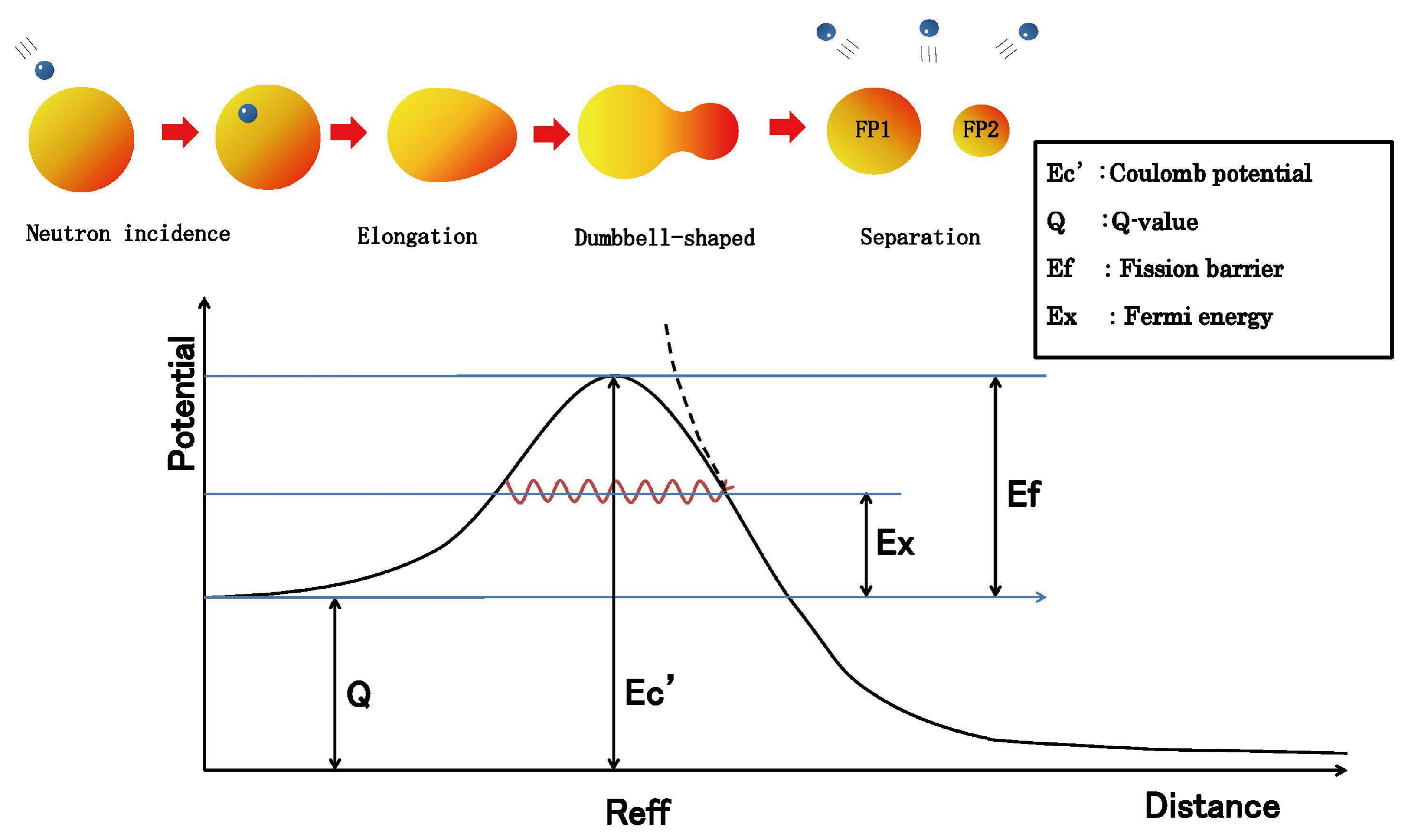 Entropy 27 00227 g004 Entropy 27 00227 g004