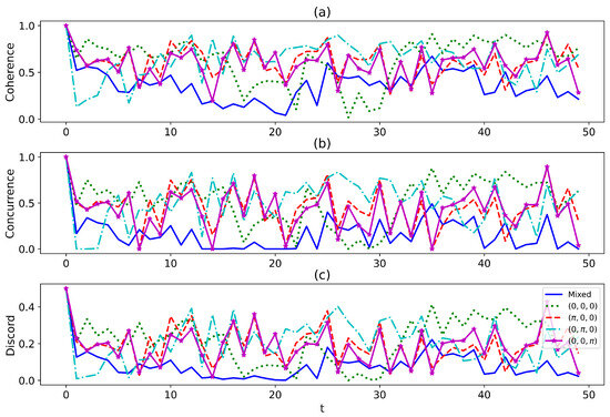 An Open Quantum System Interacting with an Interference