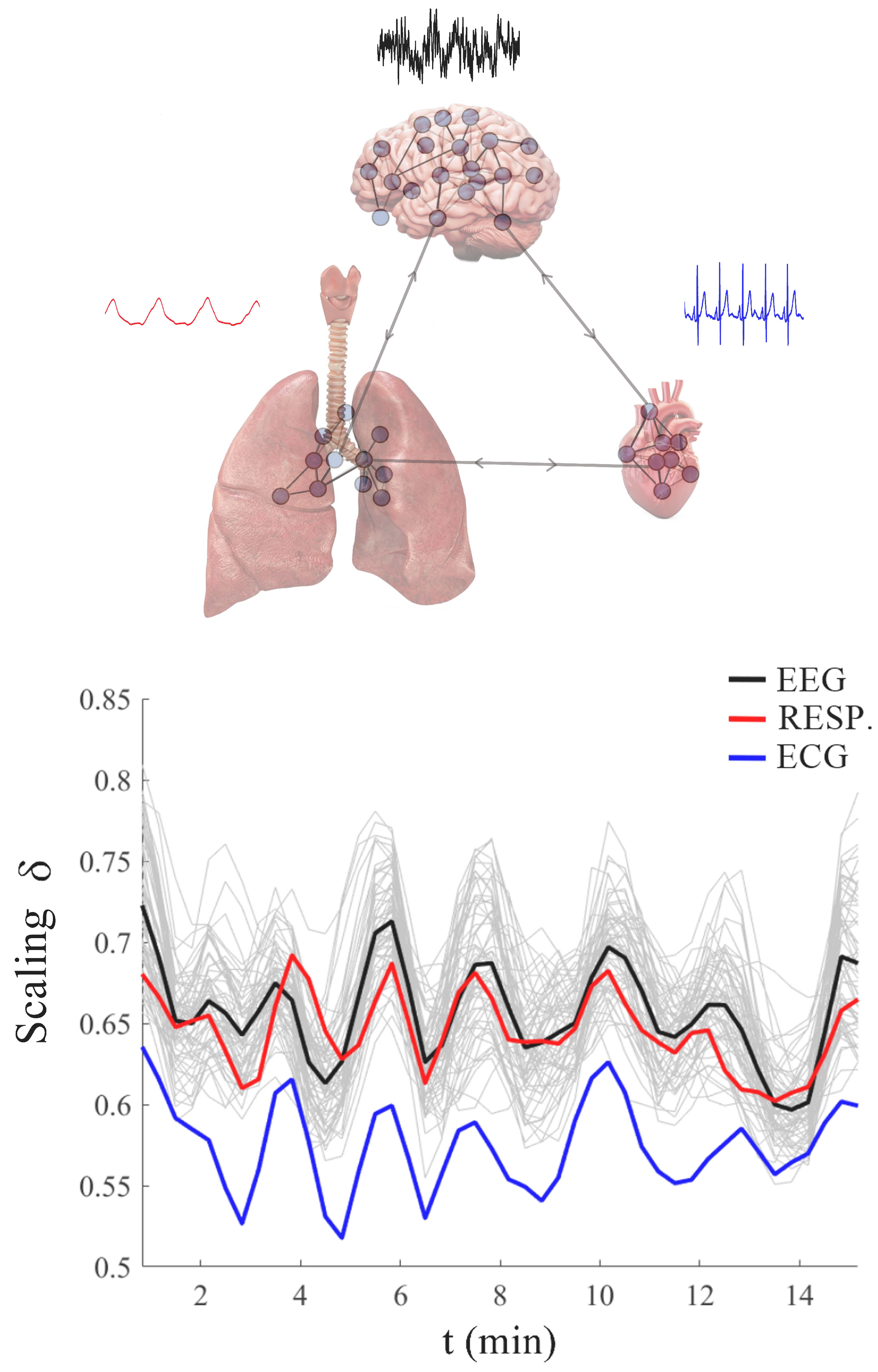 Entropy 27 00241 g002