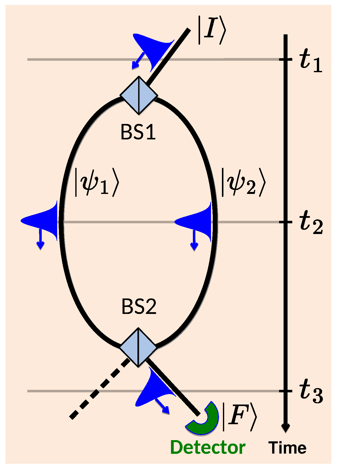 Entropy 27 00259 g001