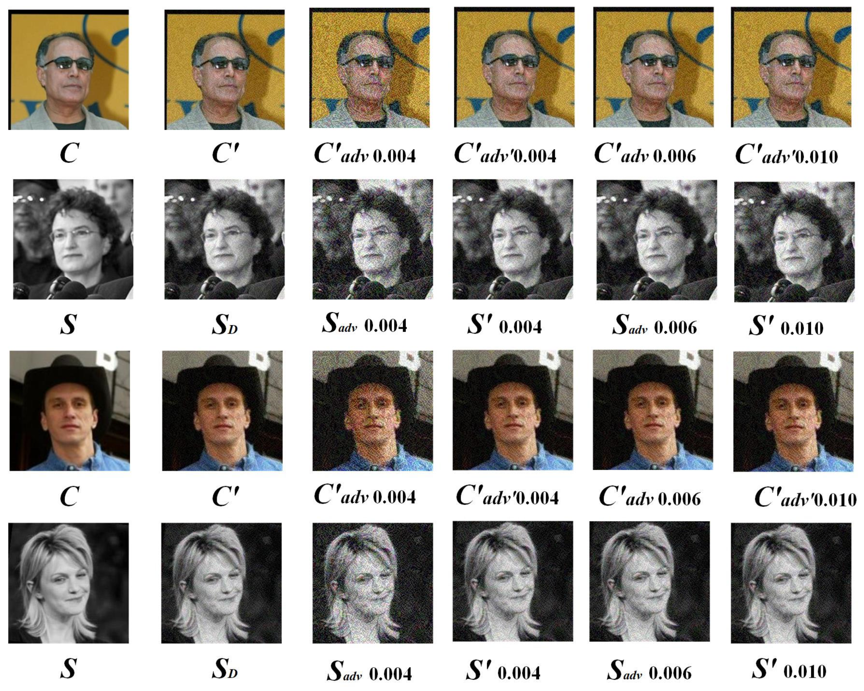 Entropy 27 00282 g013