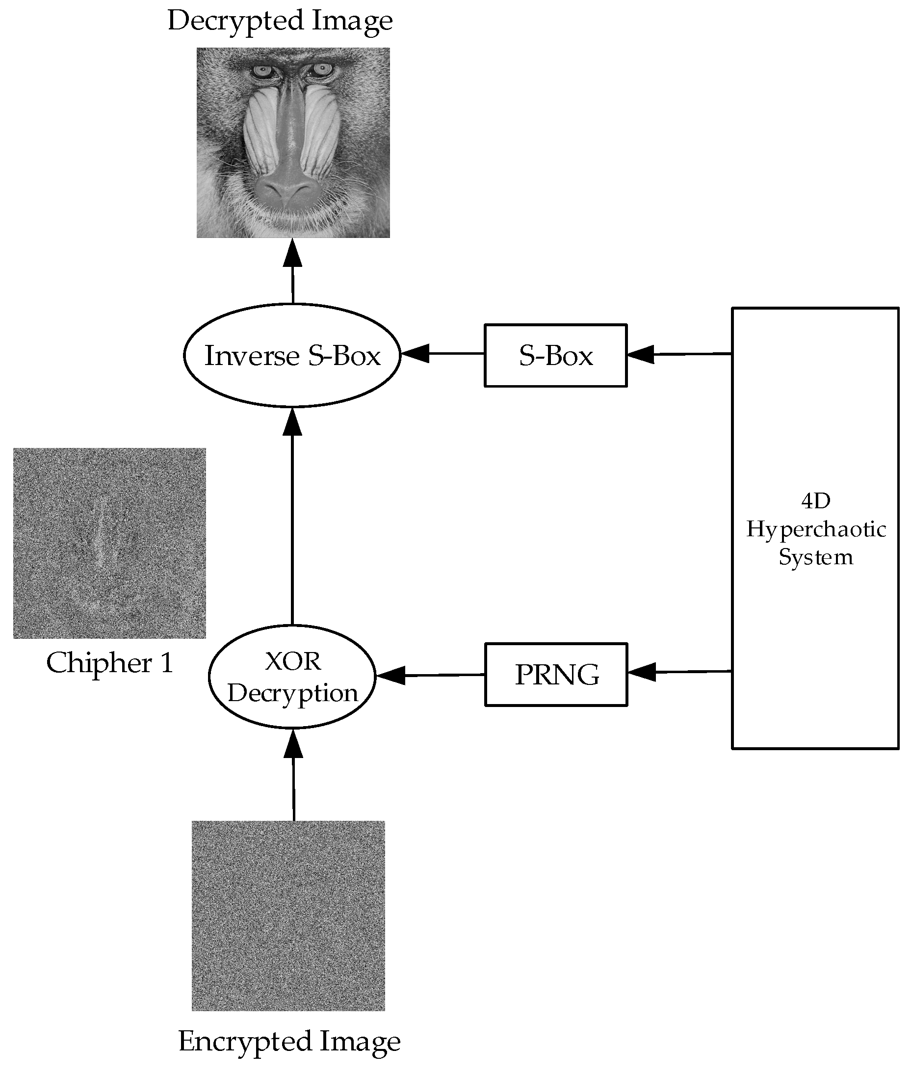 Entropy 27 00299 g008