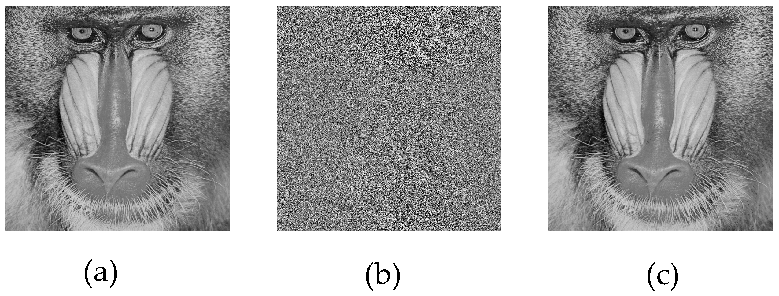 Entropy 27 00299 g009