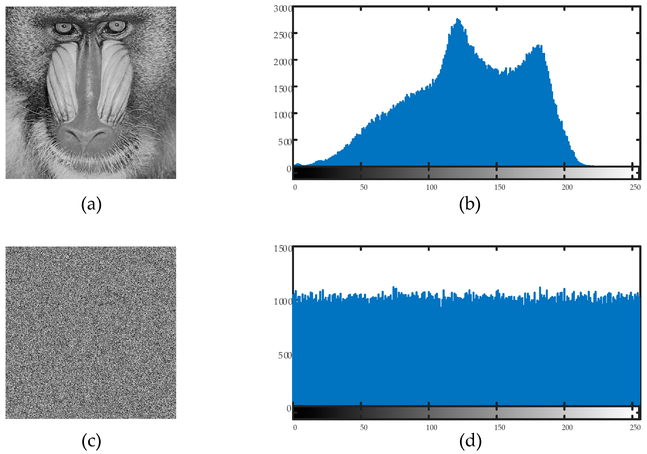 Entropy 27 00299 g011