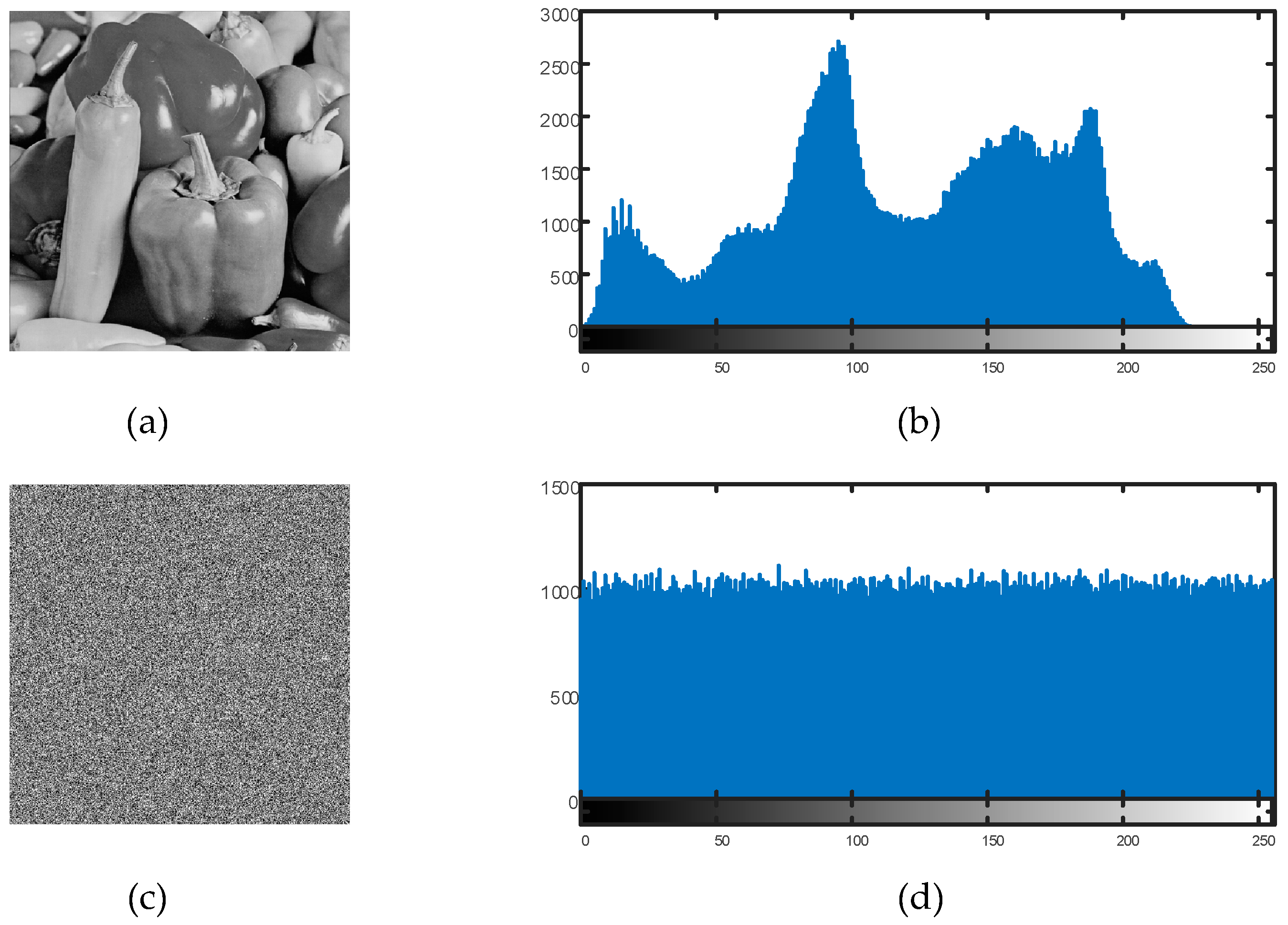 Entropy 27 00299 g012