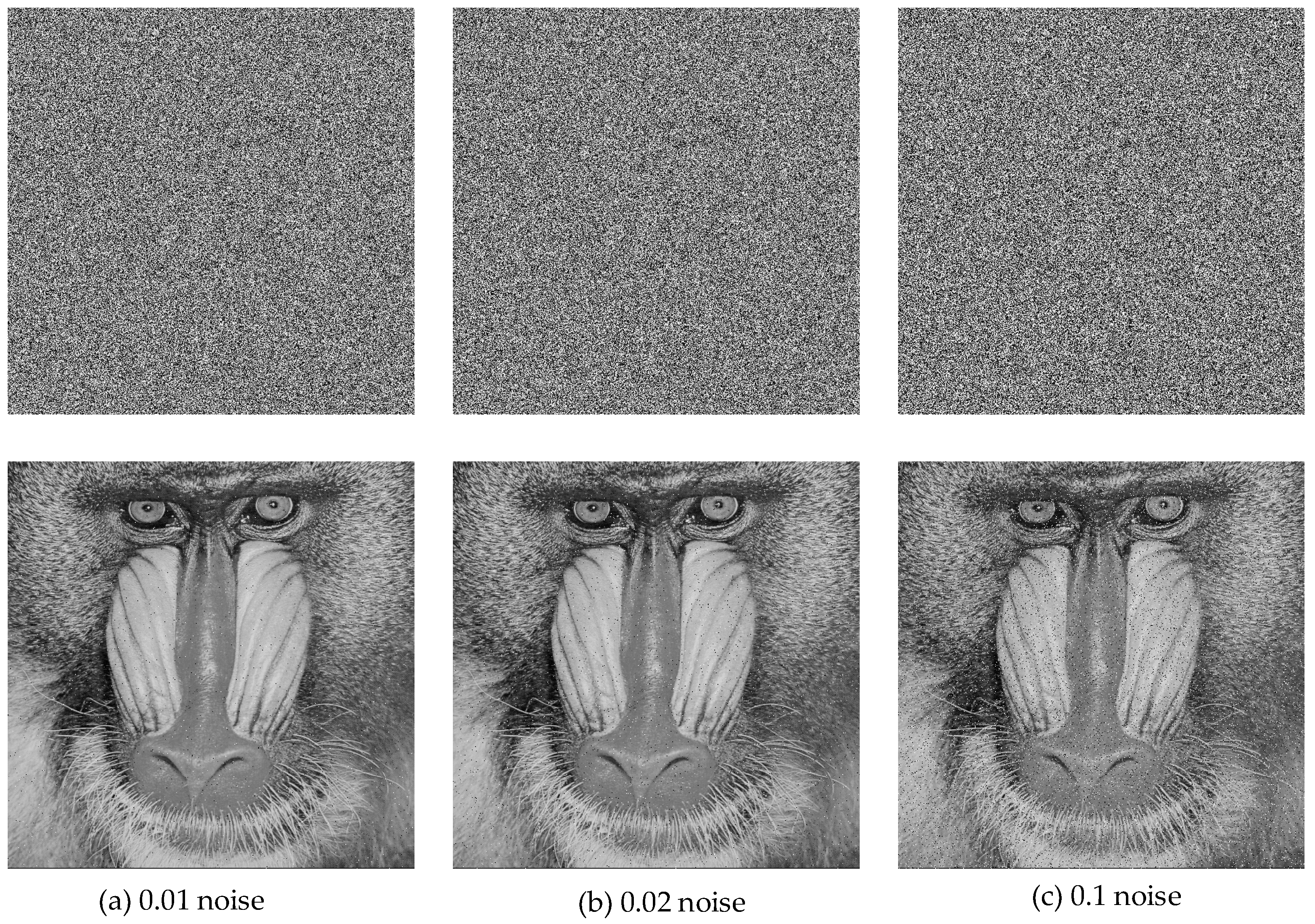 Entropy 27 00299 g019