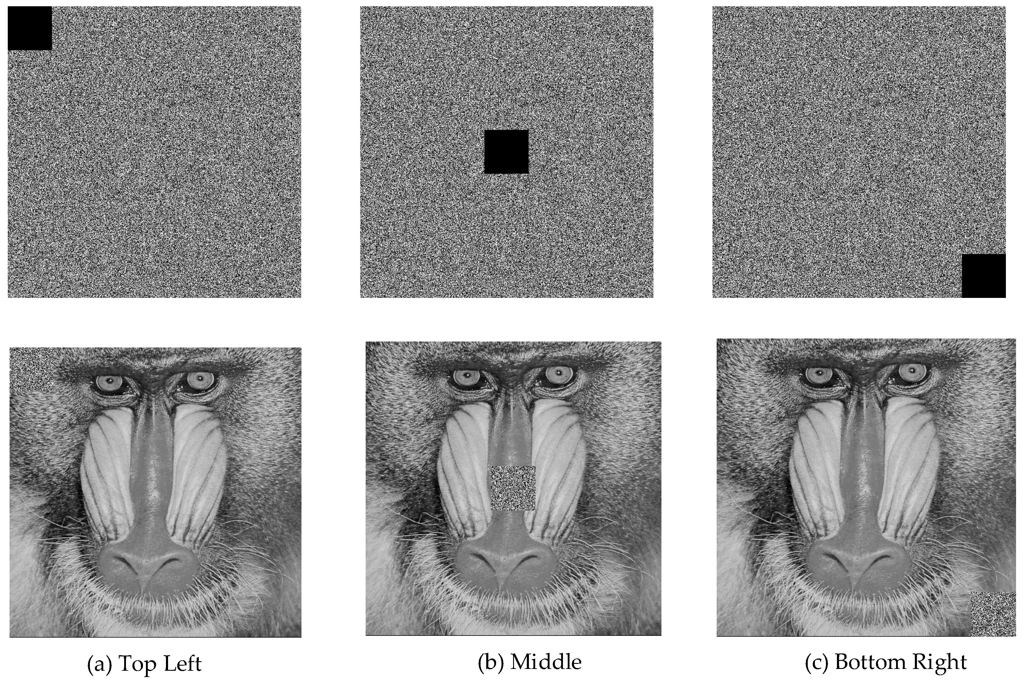 Entropy 27 00299 g020