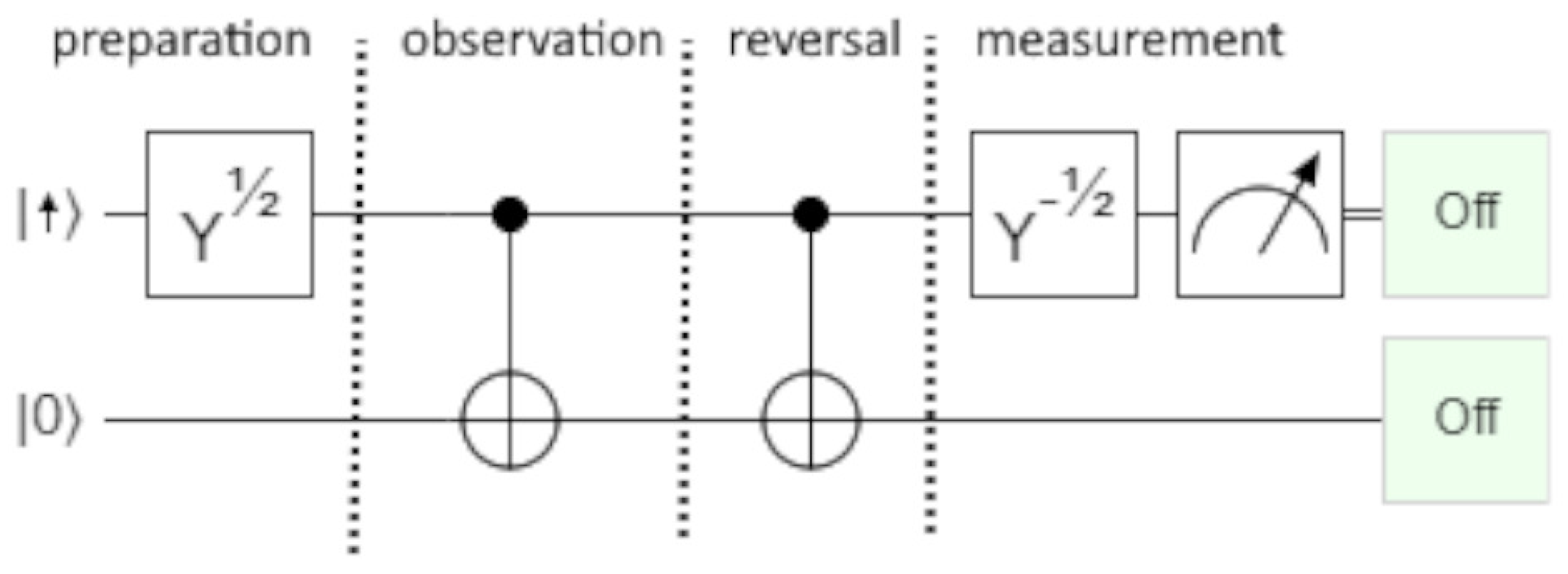 Entropy 27 00302 g001