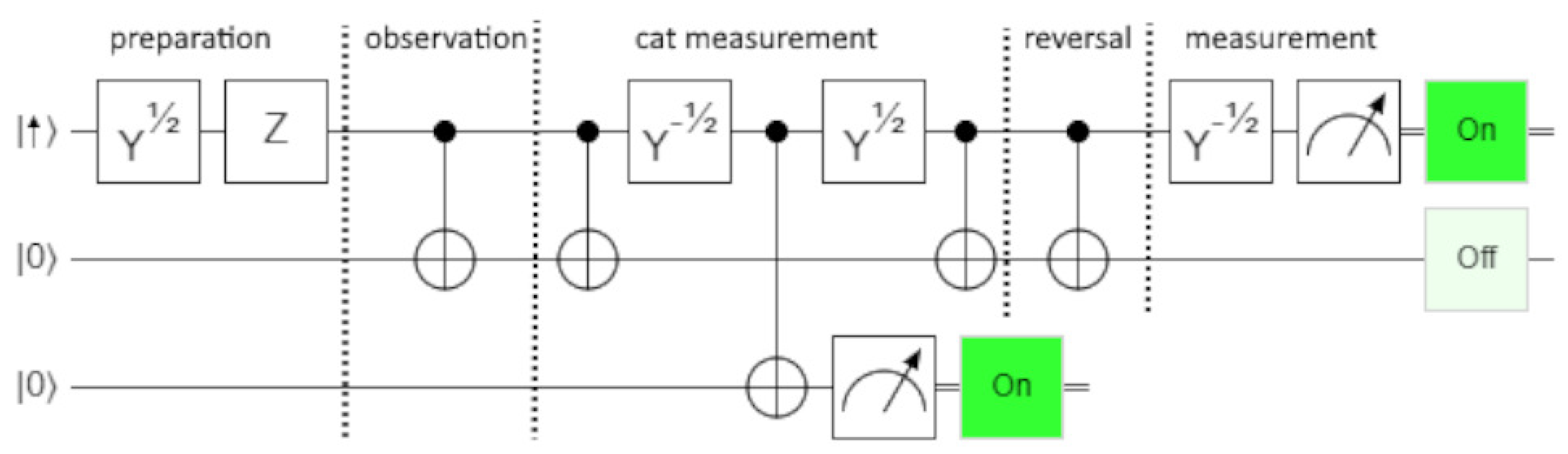 Entropy 27 00302 g005