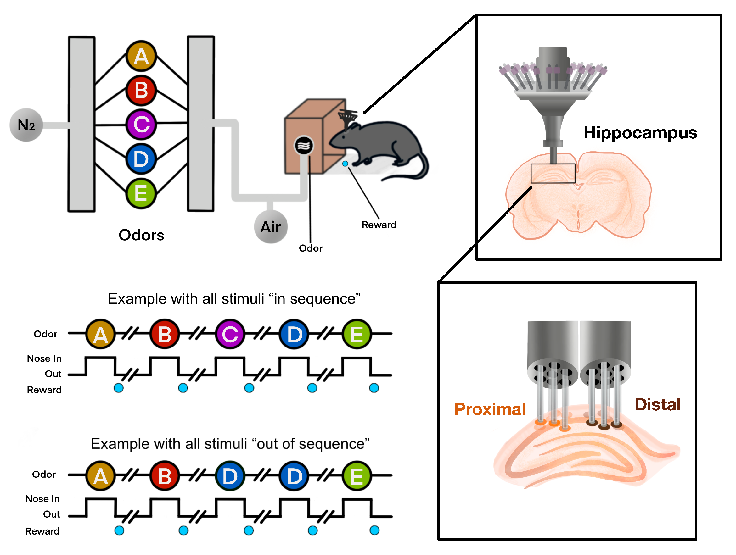 Entropy 27 00328 g001