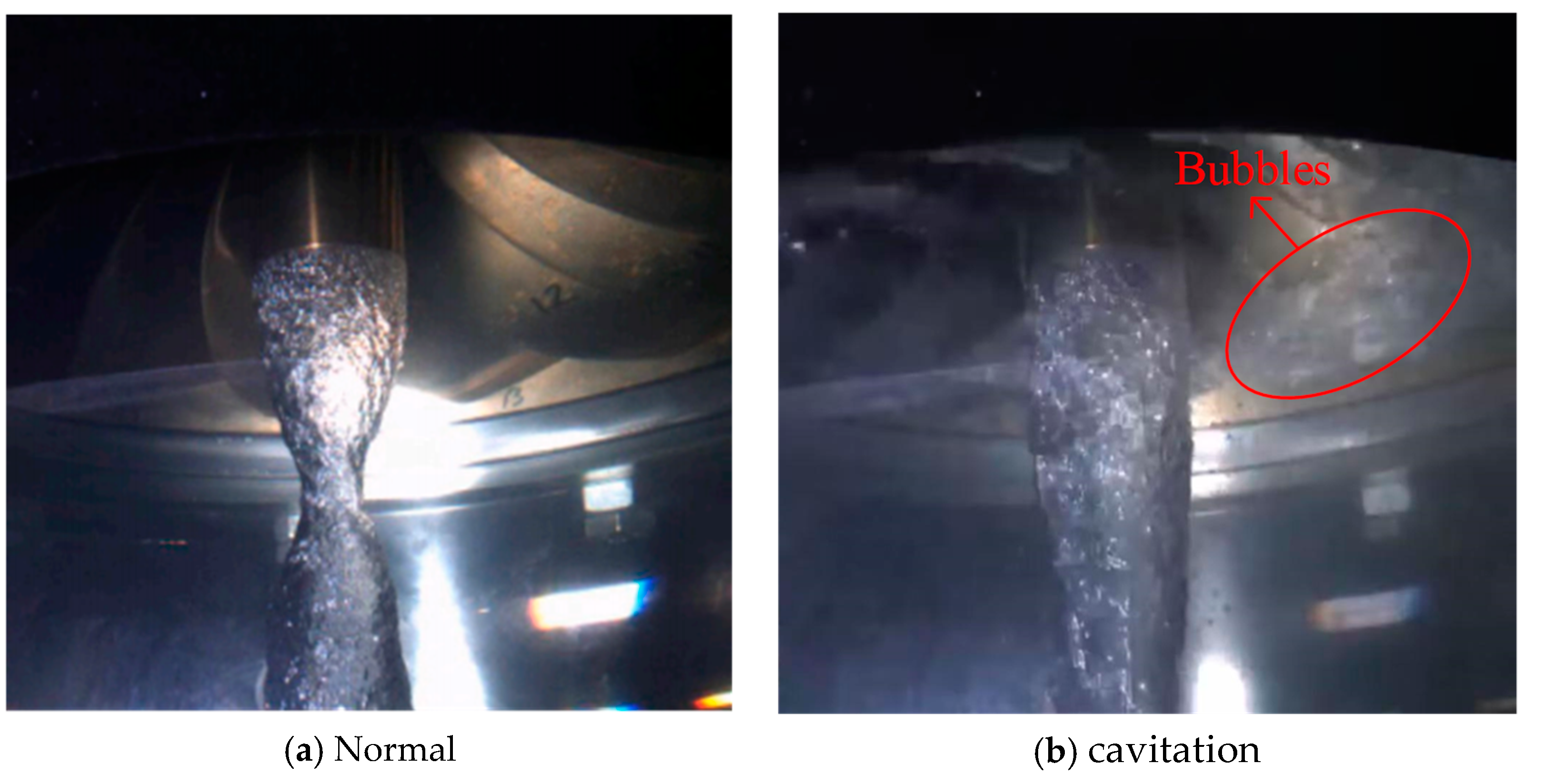 Entropy 27 00443 g003