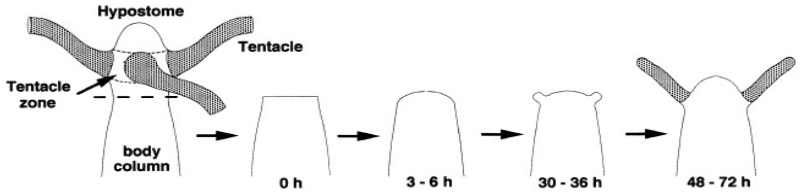 Entropy 27 00449 g003