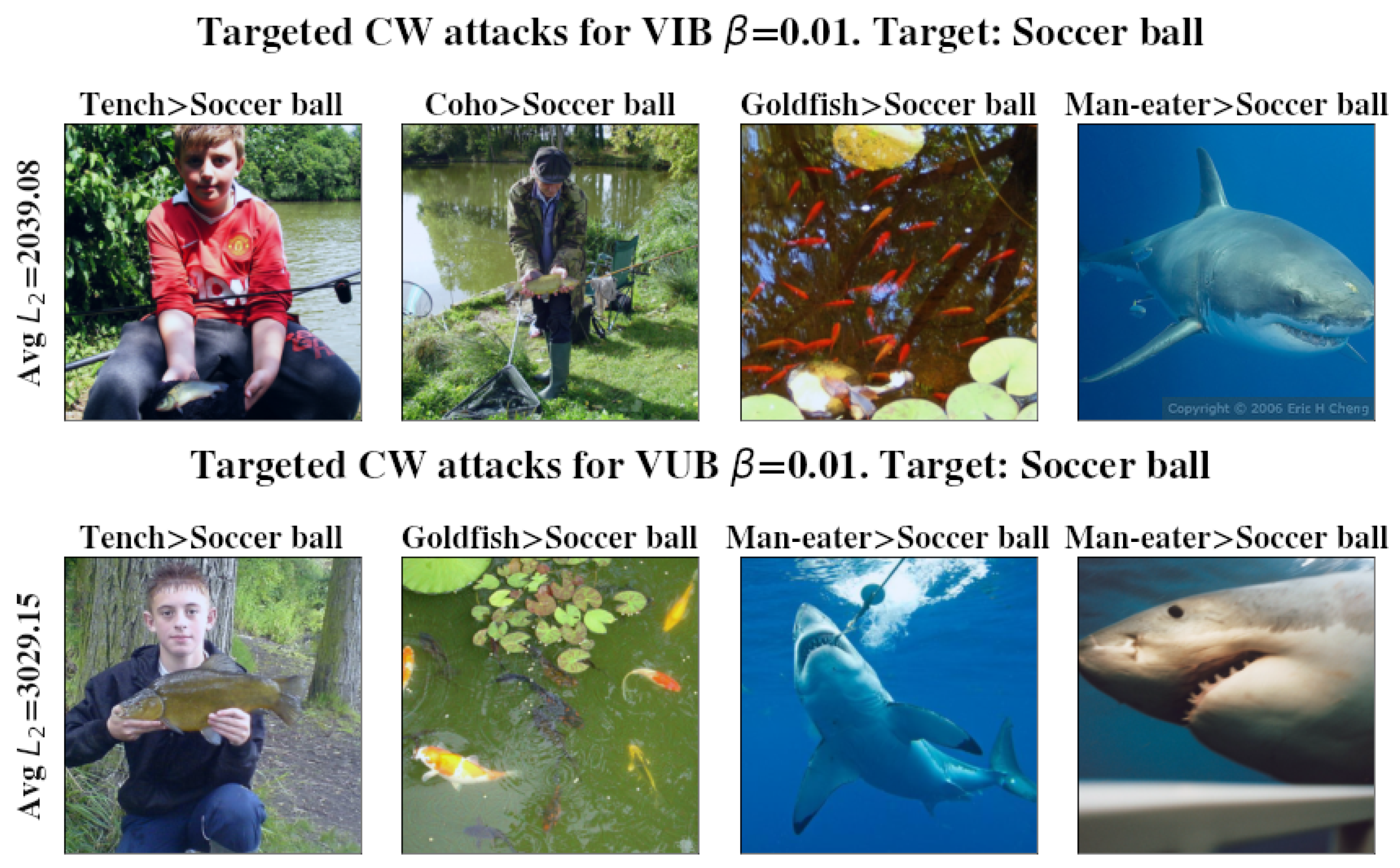 Entropy 27 00452 g004