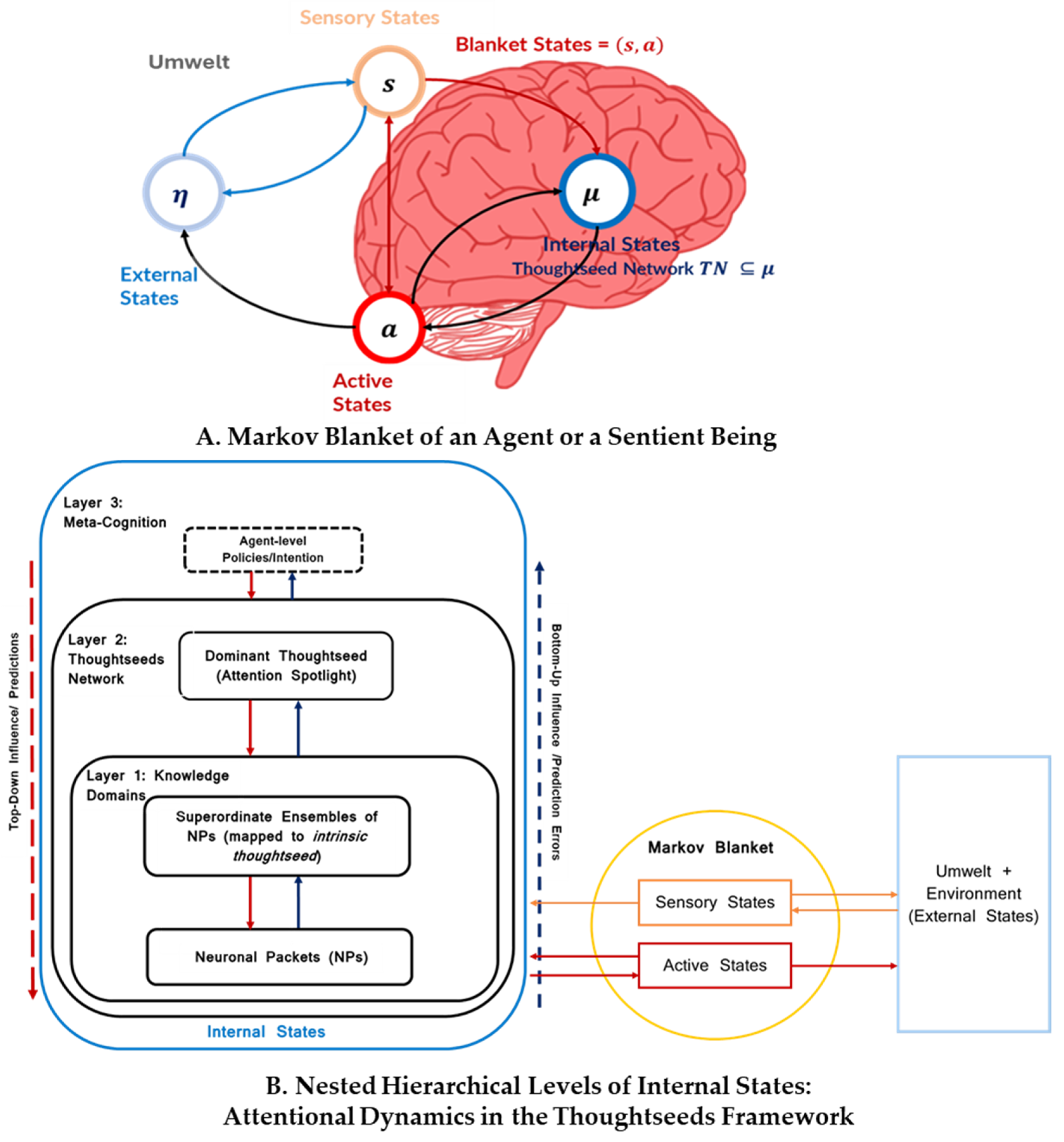 Entropy 27 00459 g001
