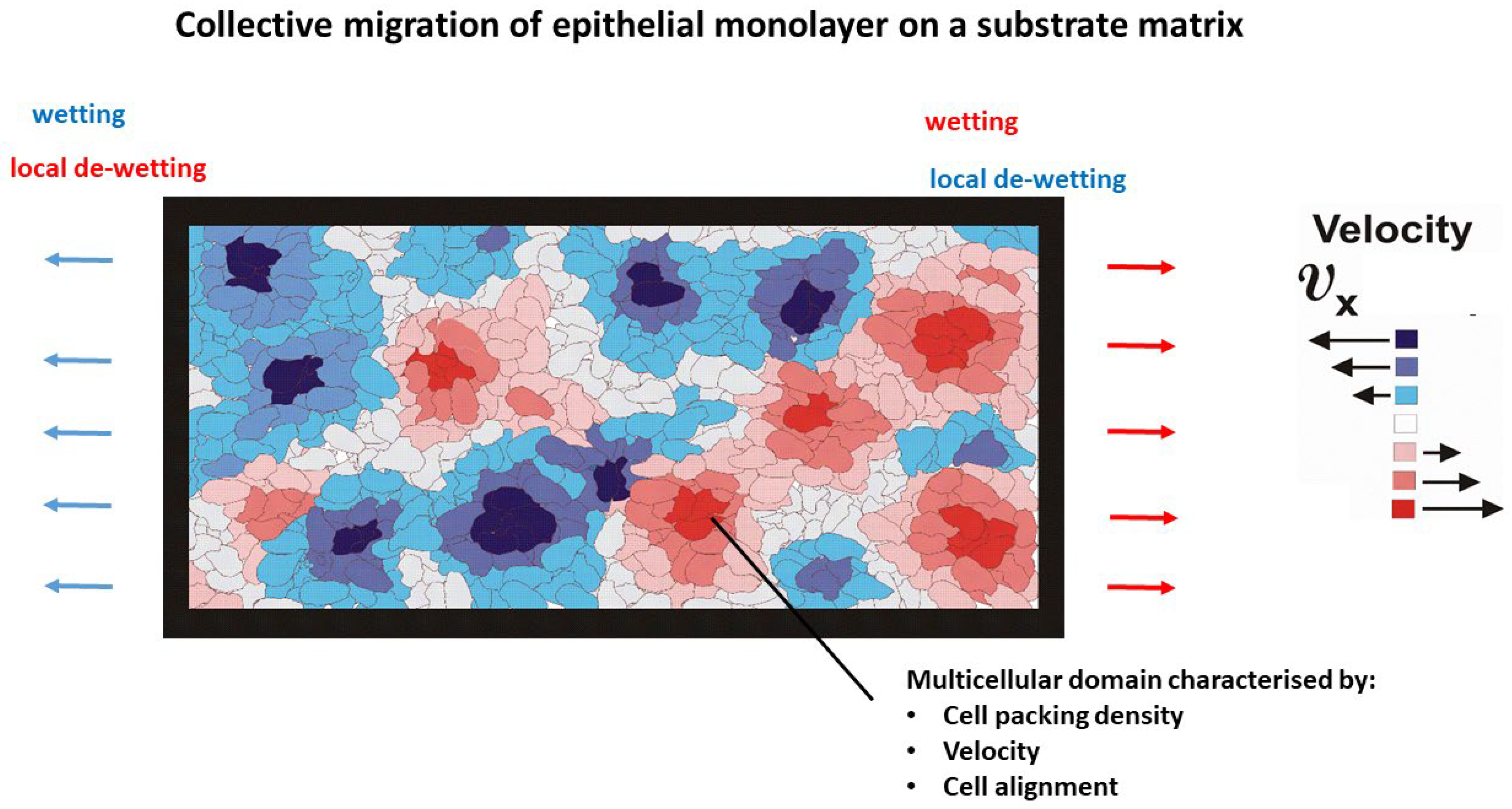 Entropy 27 00483 g001