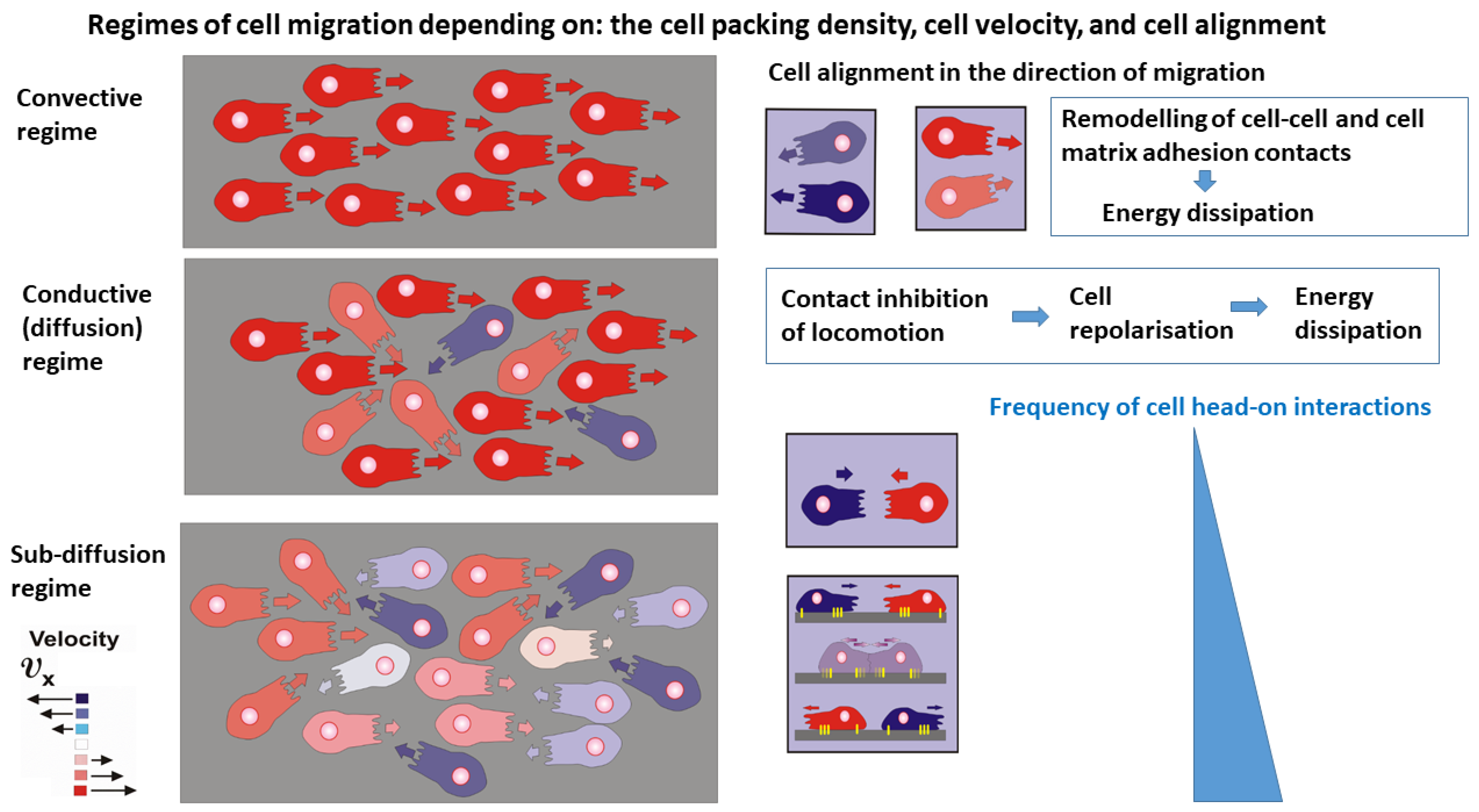Entropy 27 00483 g002