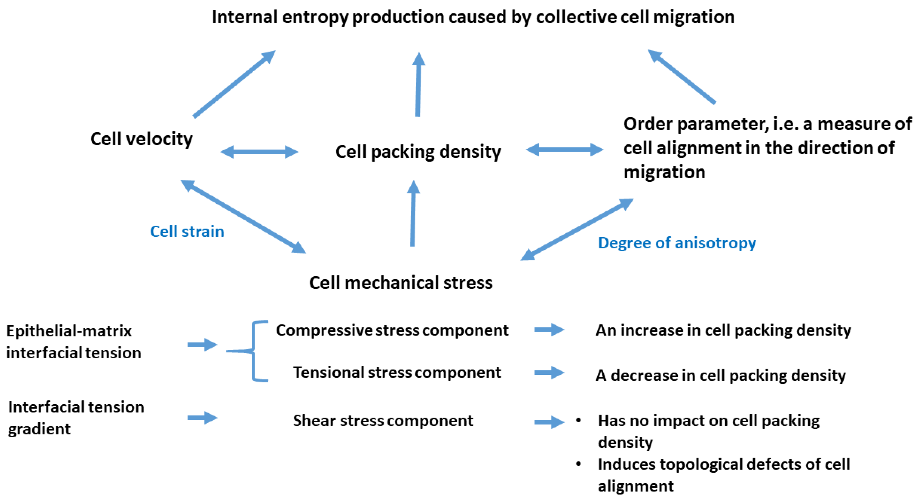 Entropy 27 00483 g003