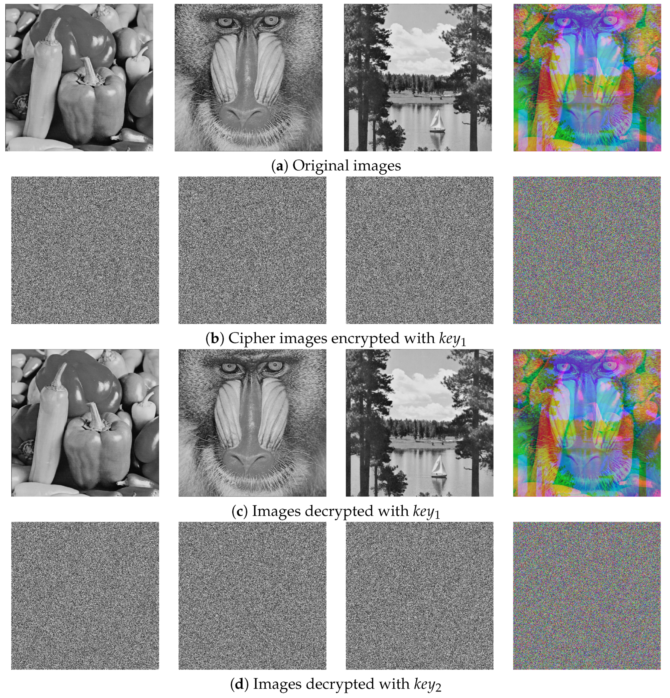 Entropy 27 00513 g008