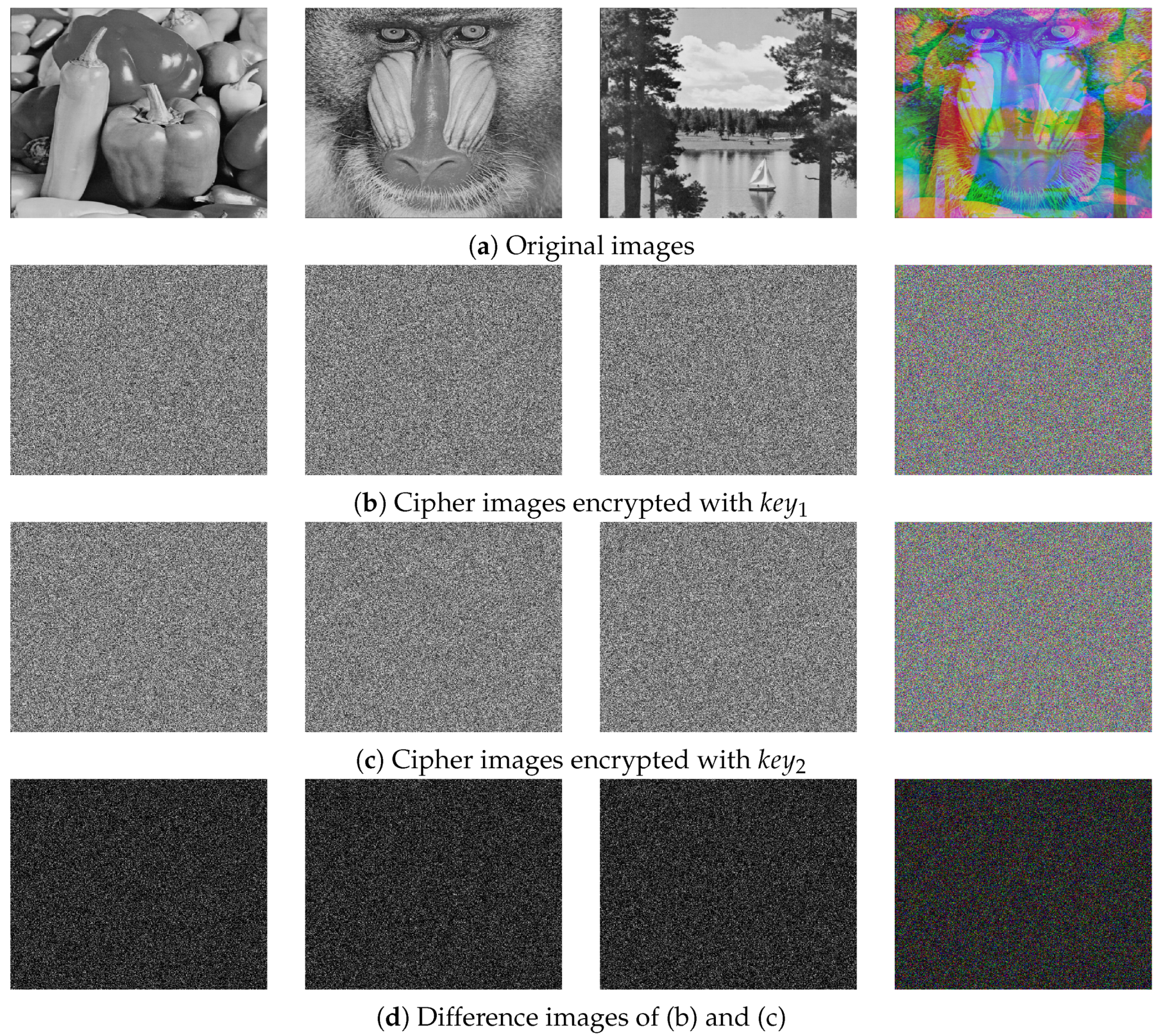 Entropy 27 00513 g010