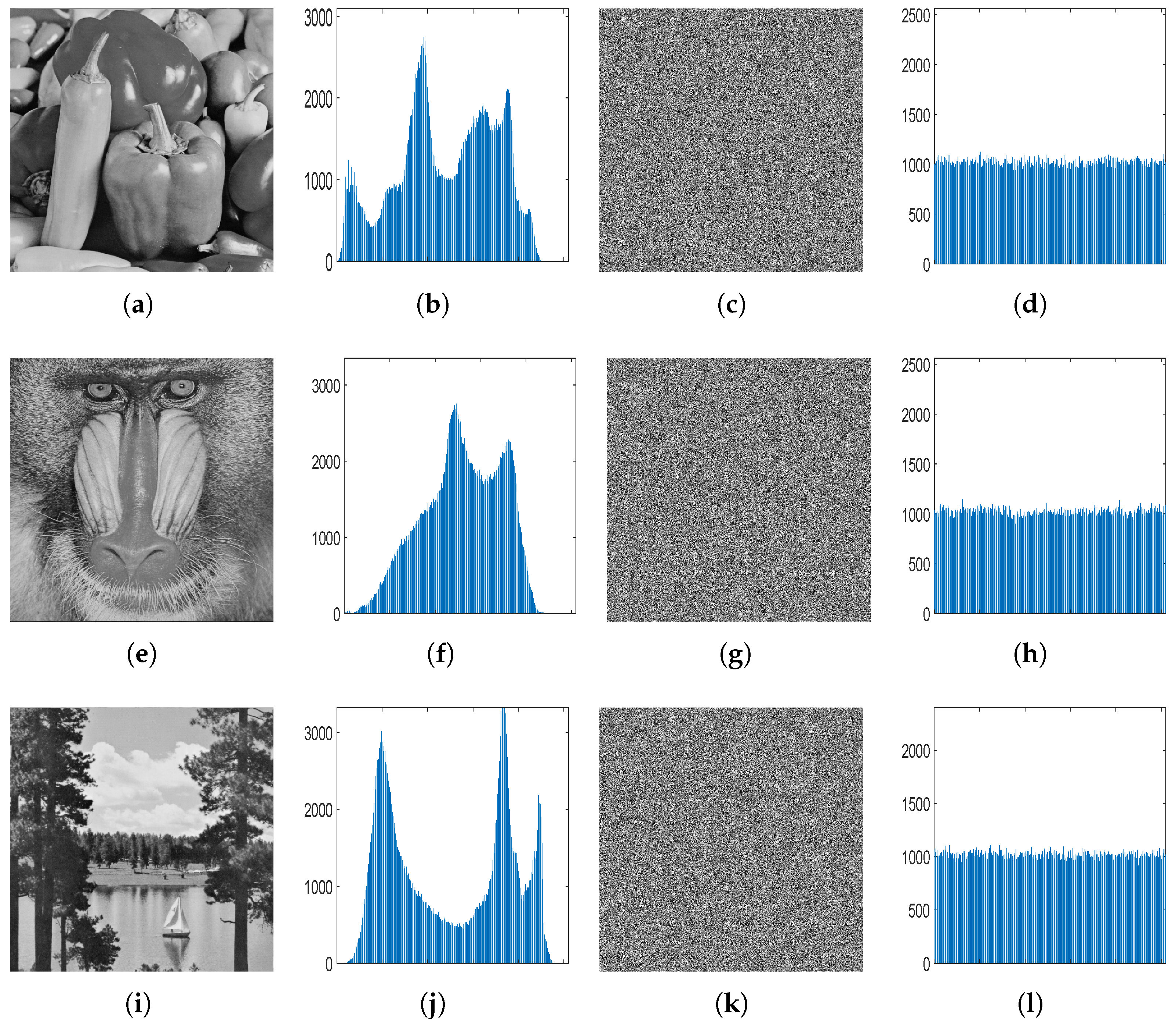 Entropy 27 00513 g011