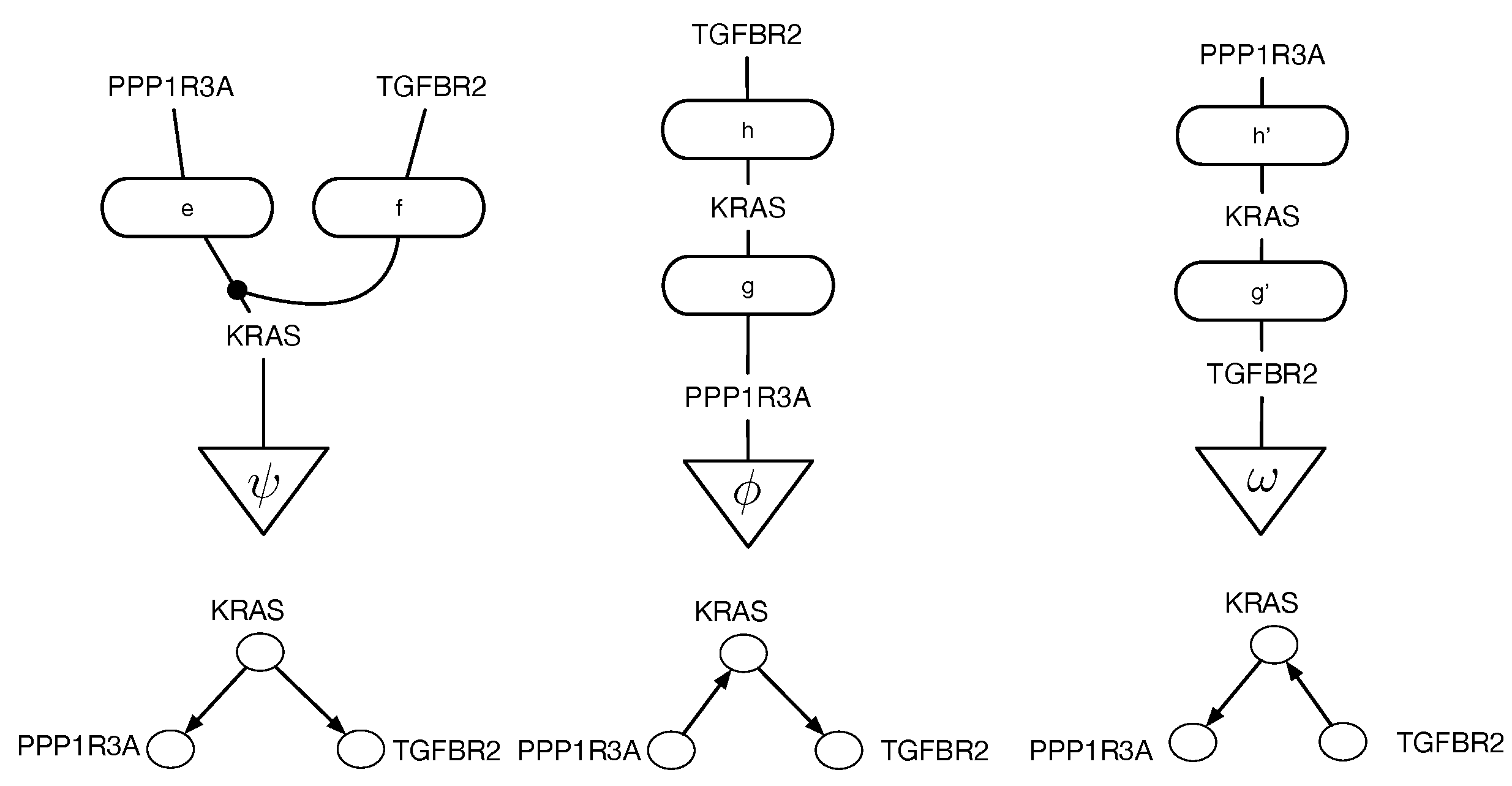 Entropy 27 00531 g002