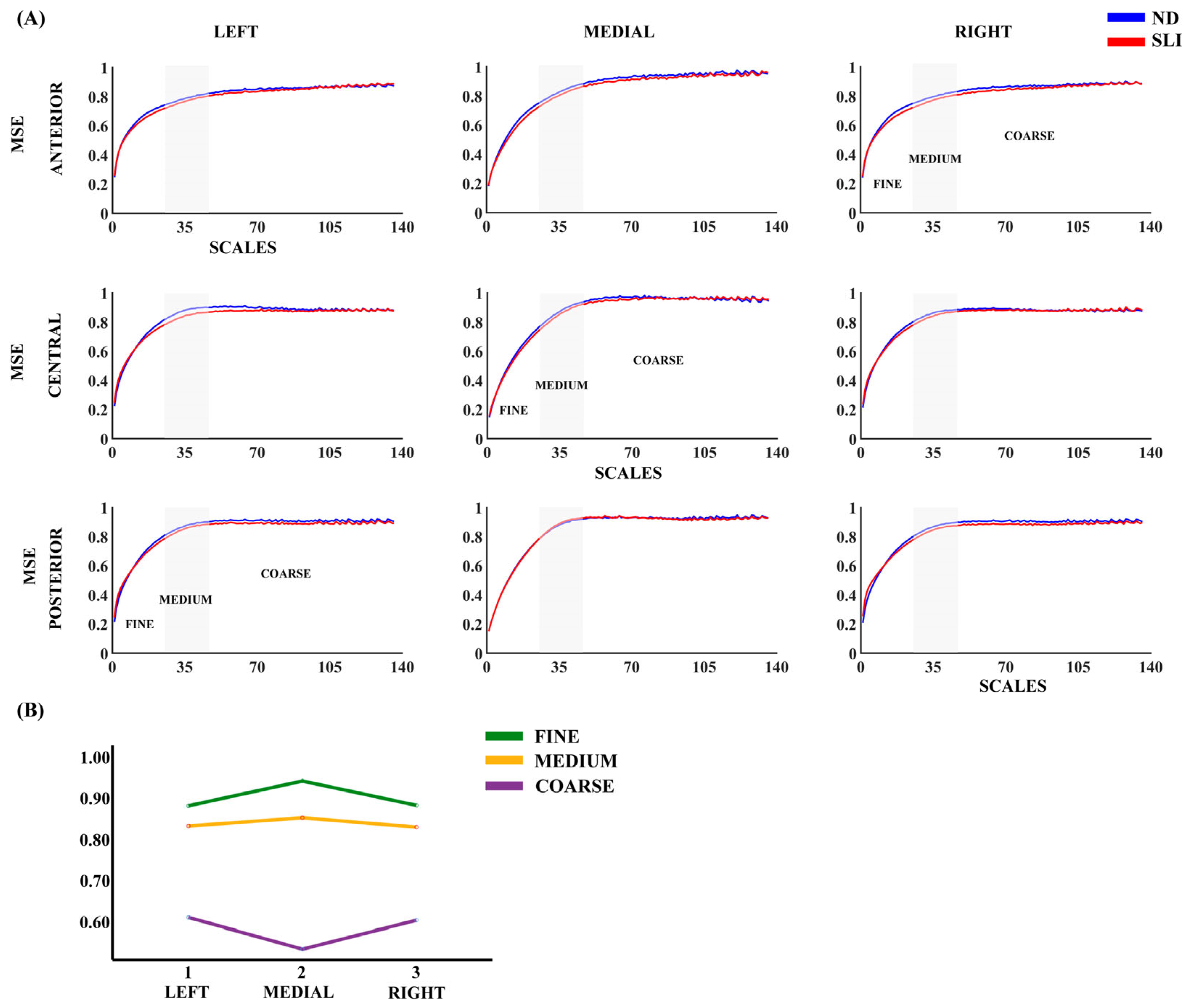 Entropy 27 00572 g001