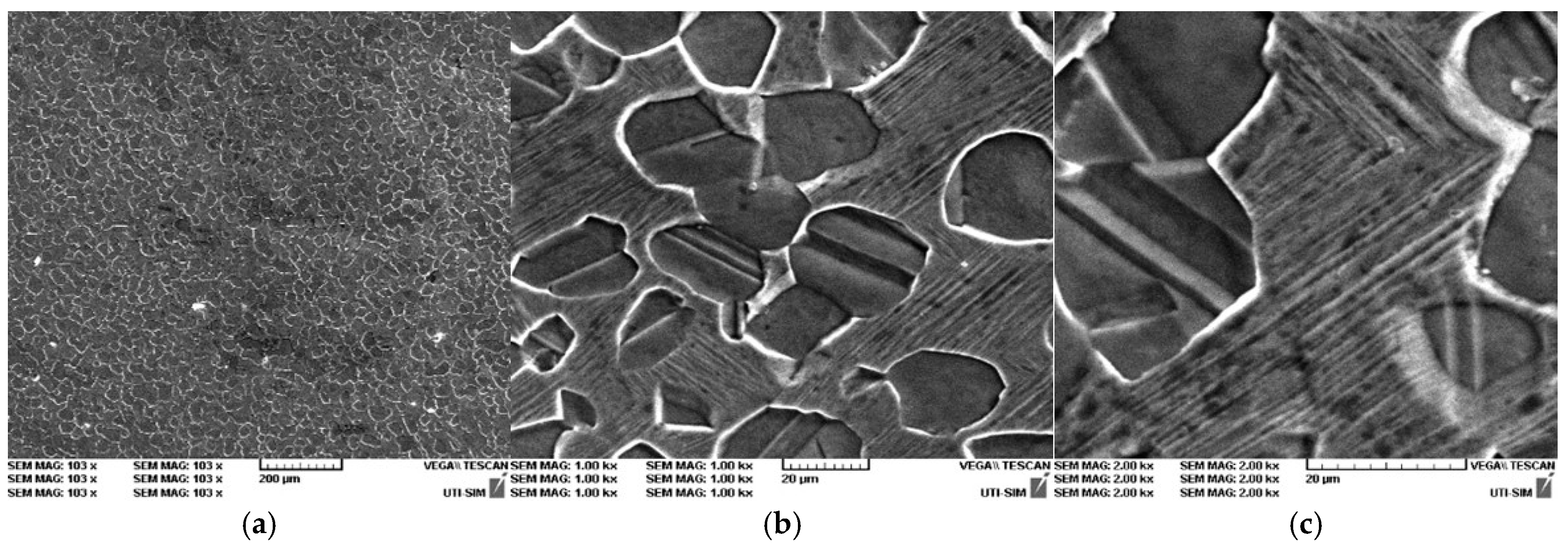 Entropy 27 00587 g014