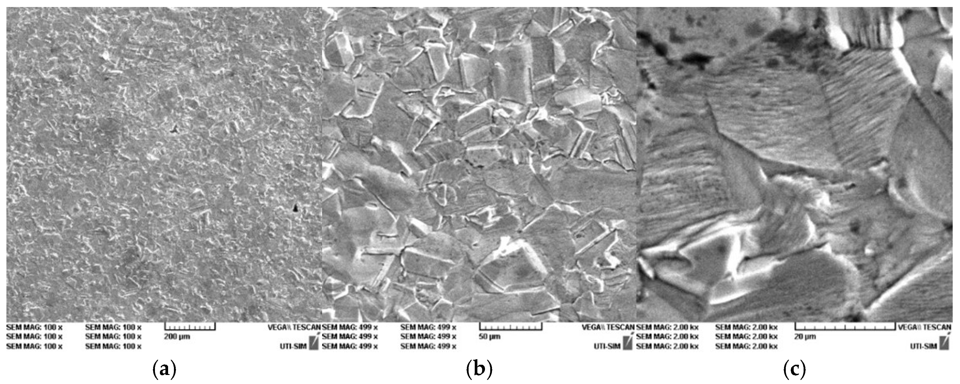 Entropy 27 00587 g015