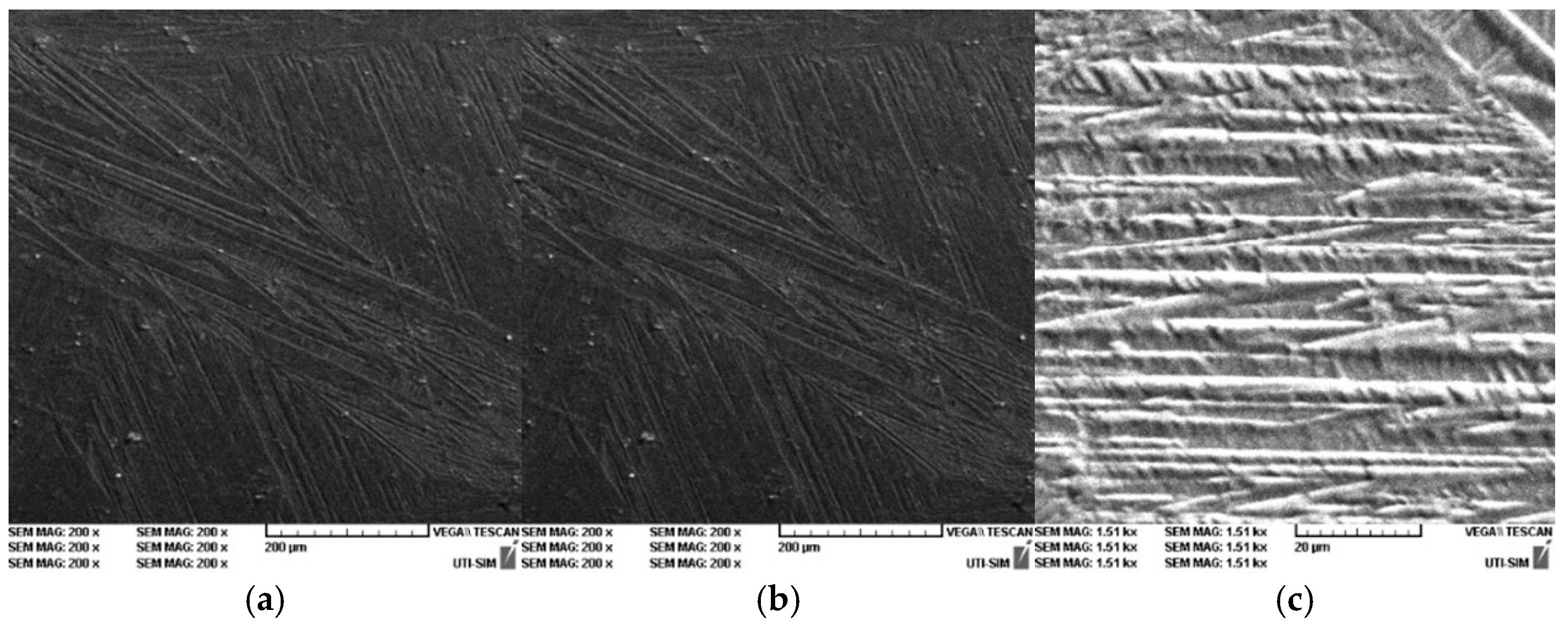 Entropy 27 00587 g016
