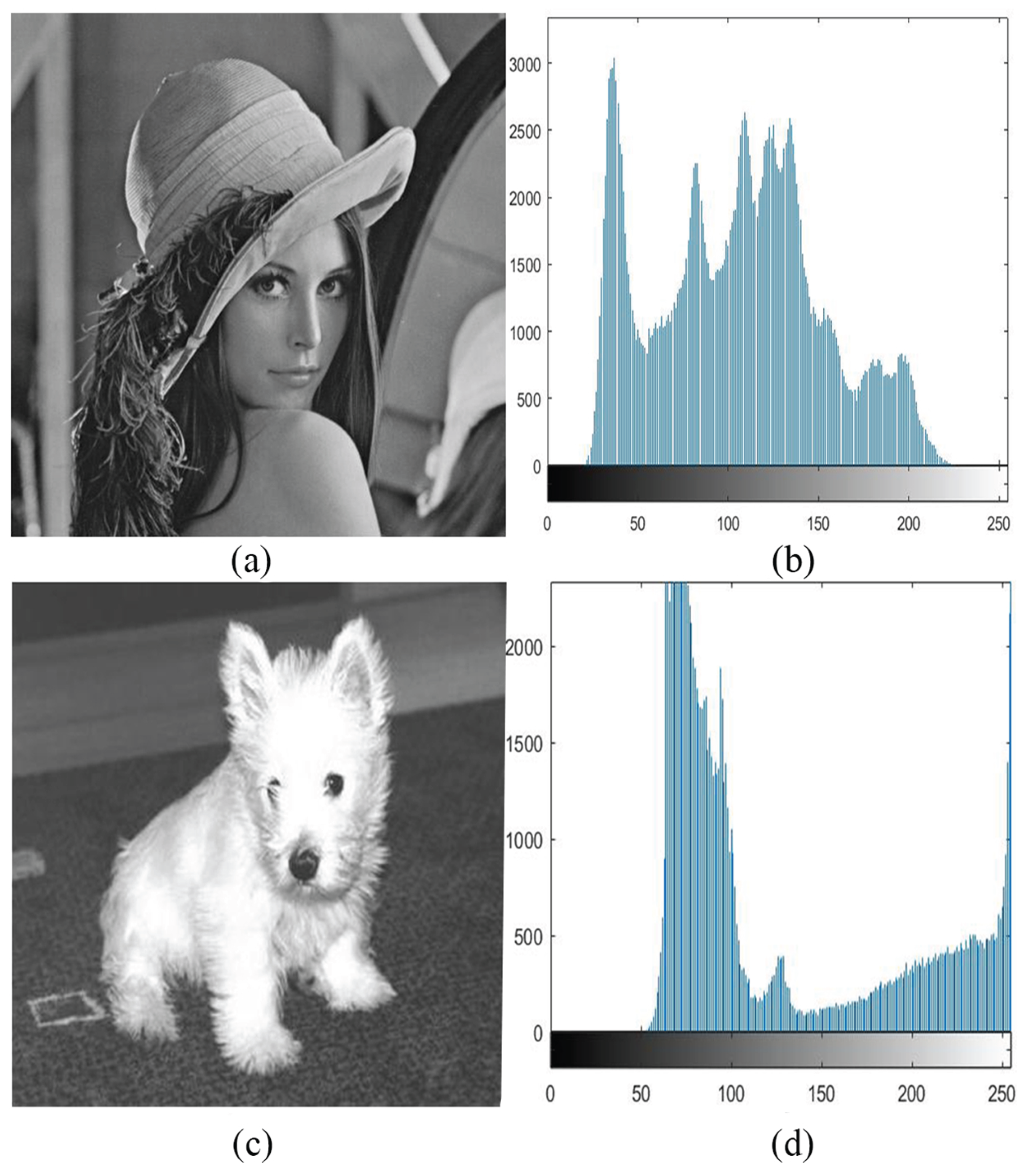 Entropy 27 00597 g003