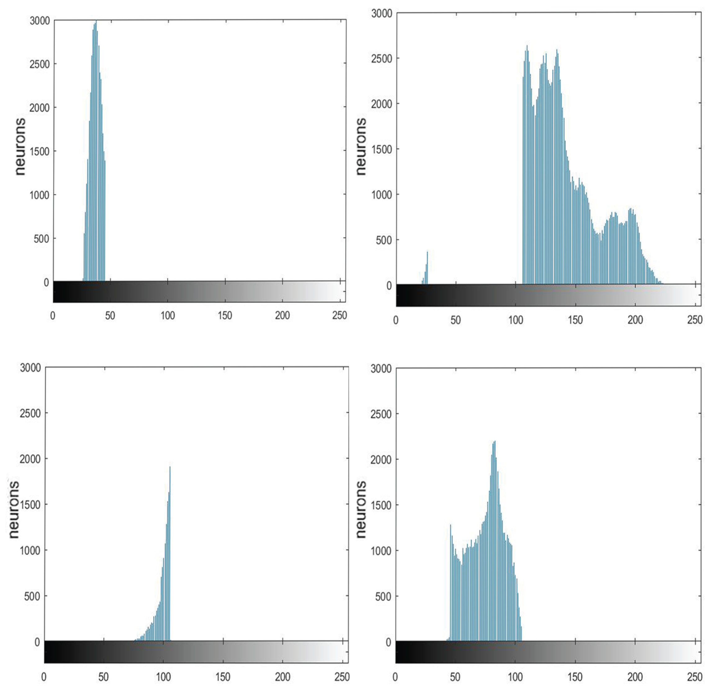 Entropy 27 00597 g004