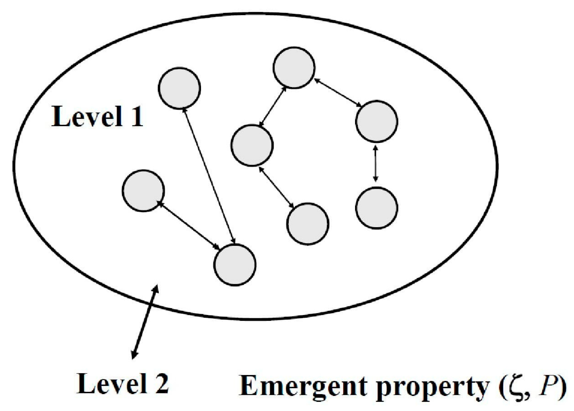 Entropy 27 00598 g001