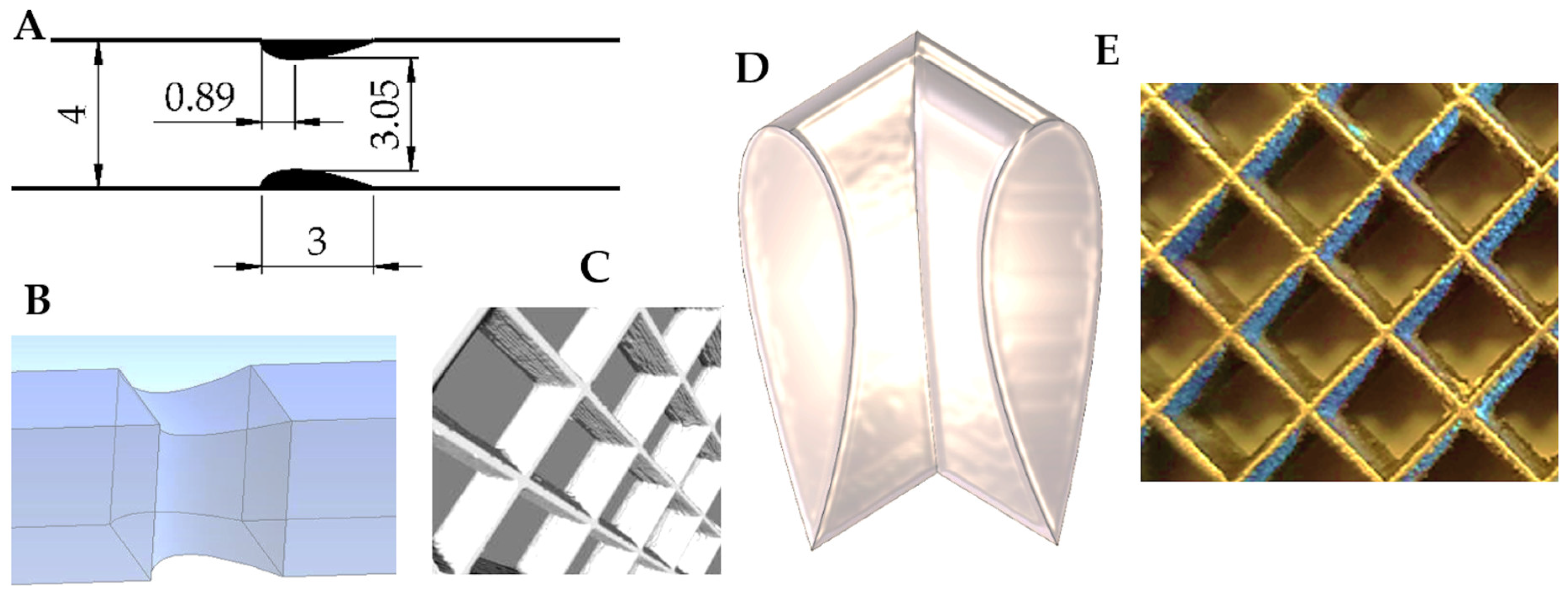 Entropy 27 00675 g002