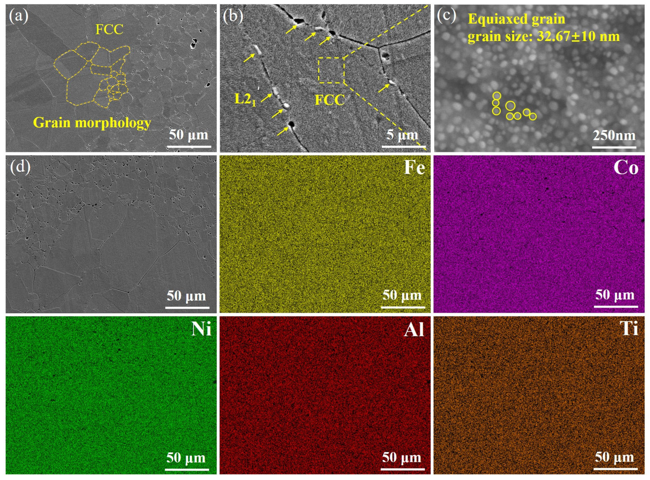 Entropy 27 00747 g003